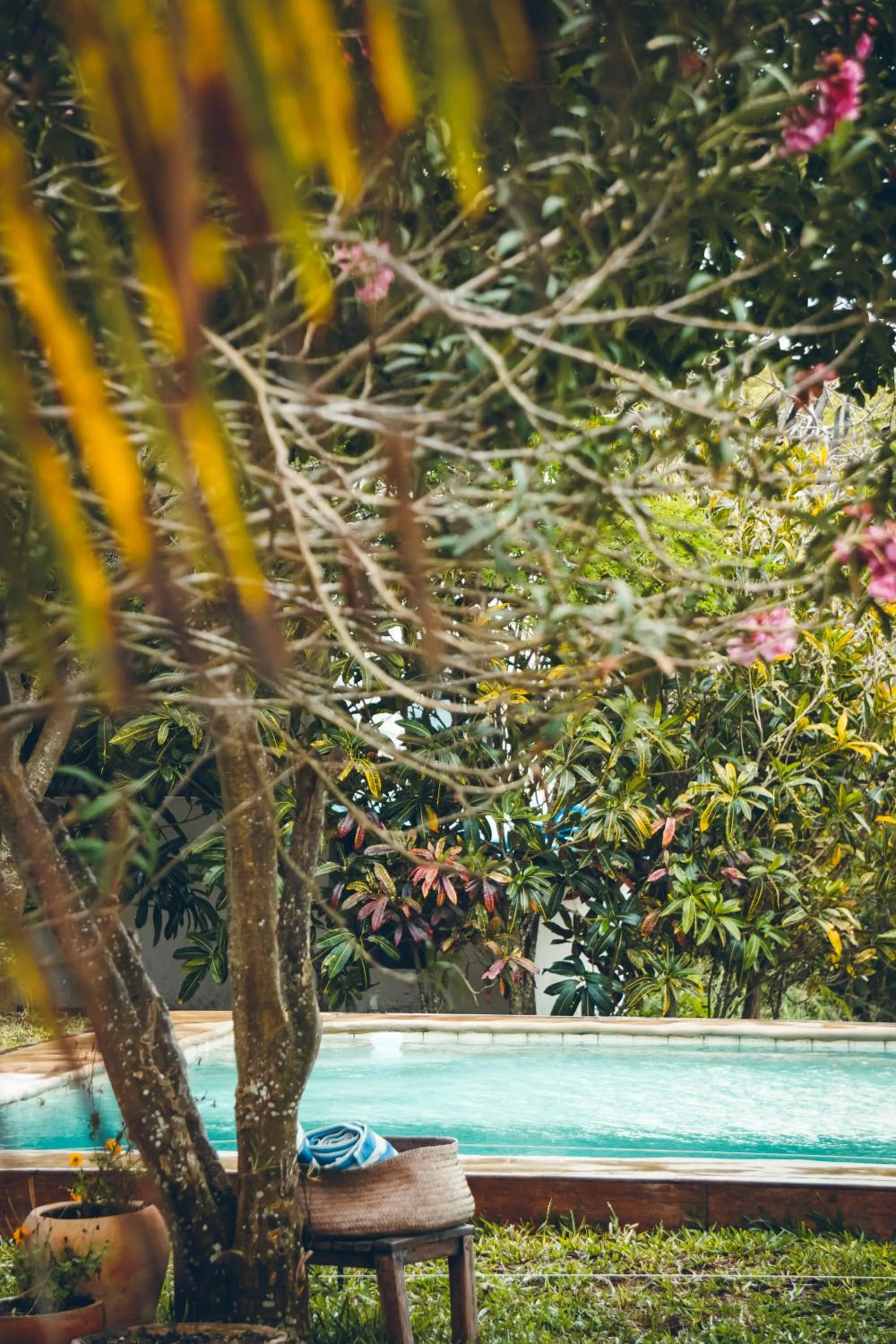 Property building in Casa Babi