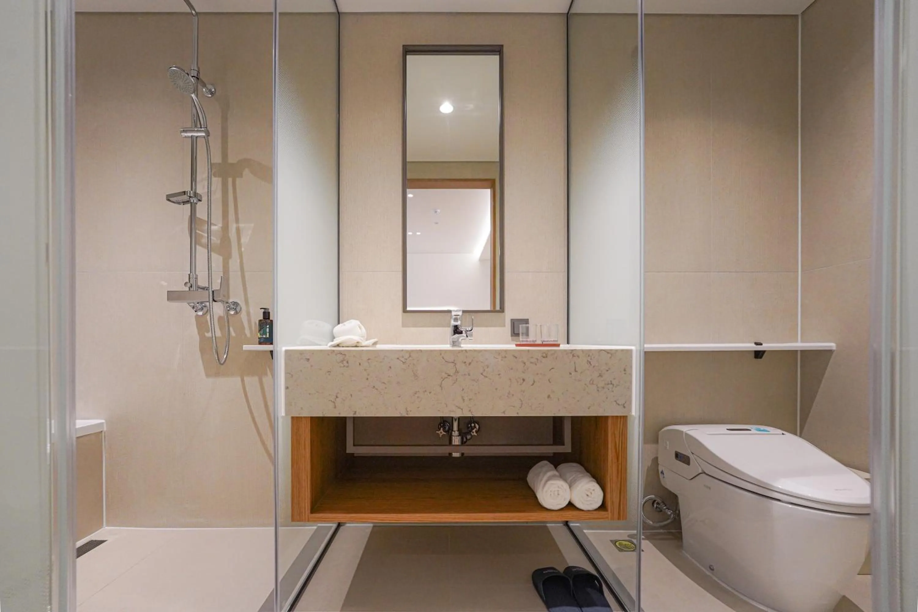 Toilet in Hotel Ground27