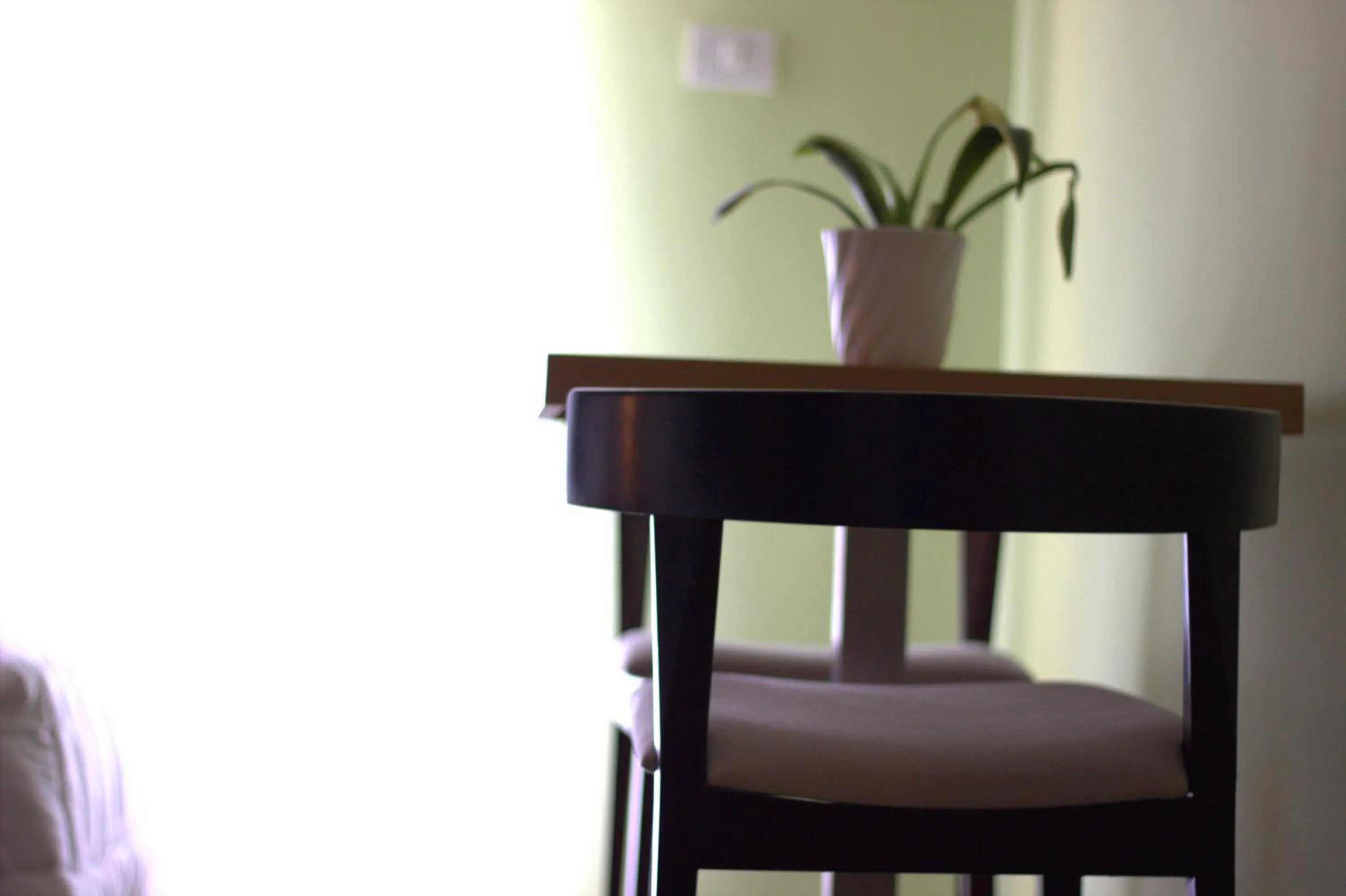 Decorative detail in Hotel Bylis