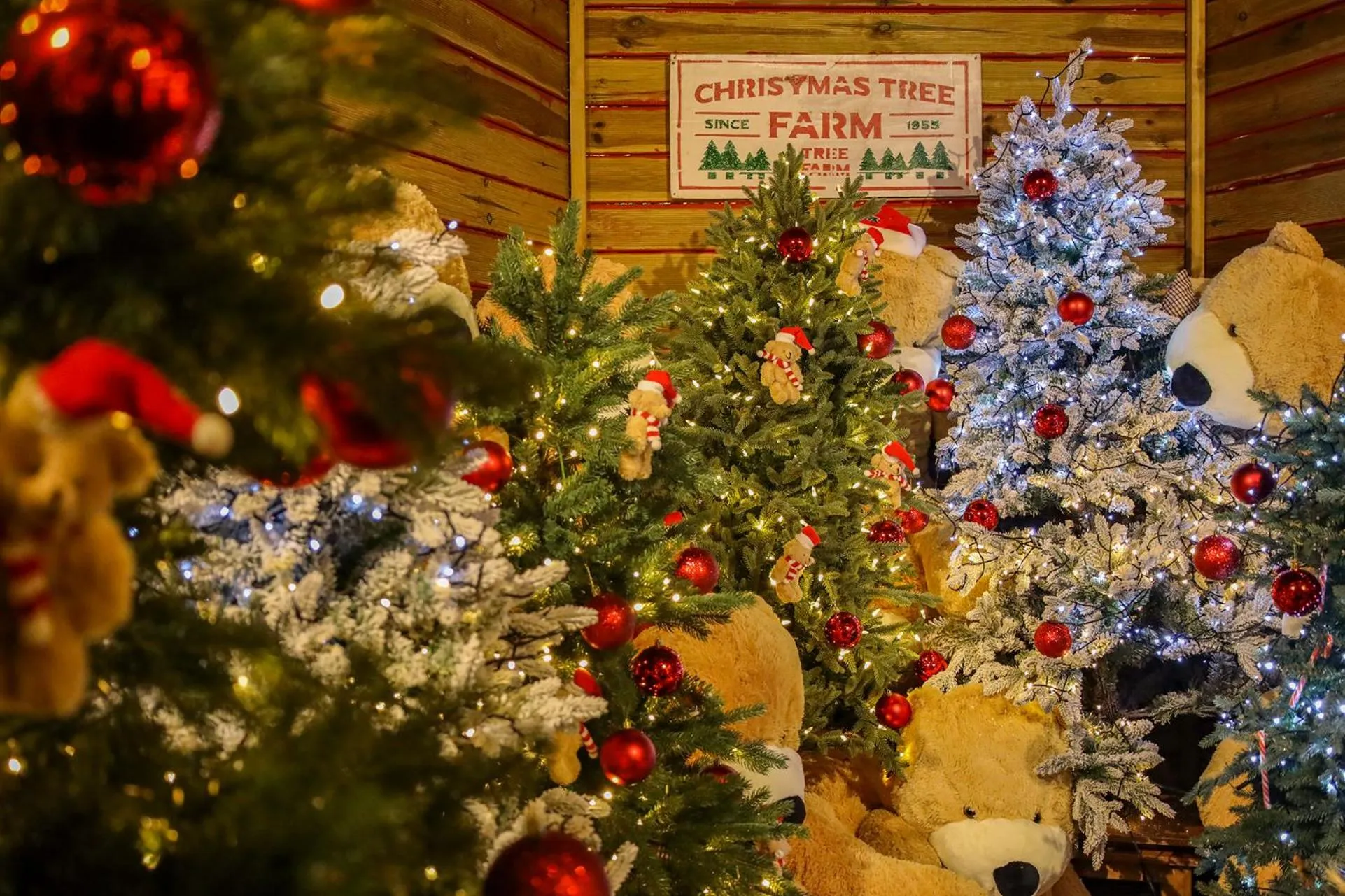 Activities in Yeosu Calacatta Hotel & Resort