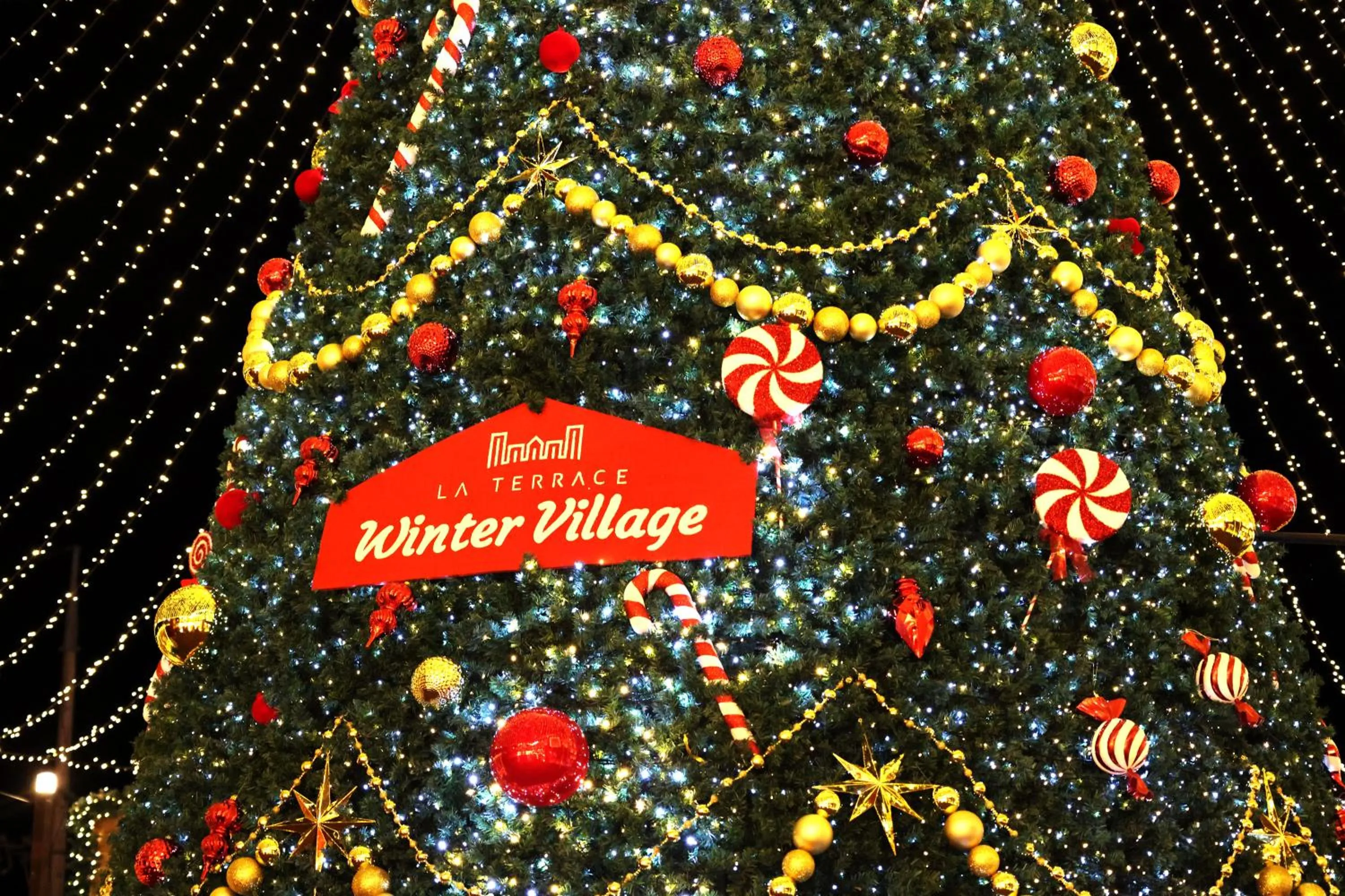 Activities in Yeosu Calacatta Hotel & Resort