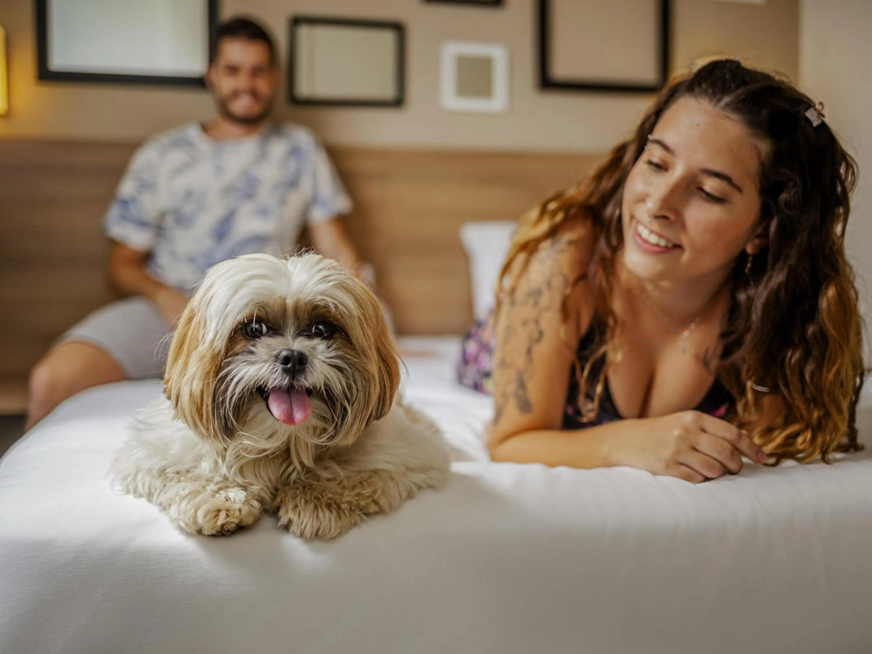 Bedroom in ibis Styles Ribeirao Preto Braz Olaia