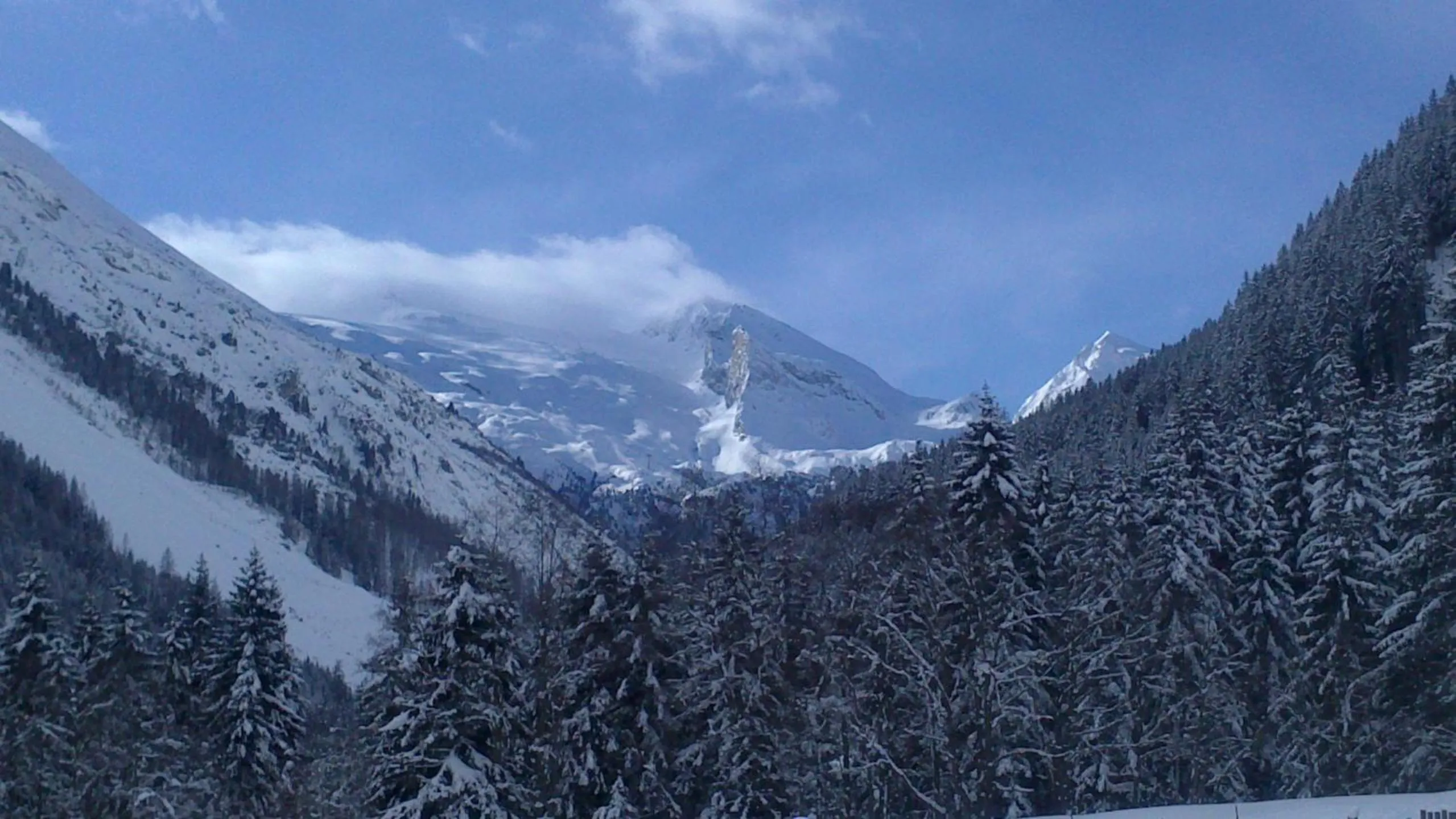 Natural landscape in Mehlerhof