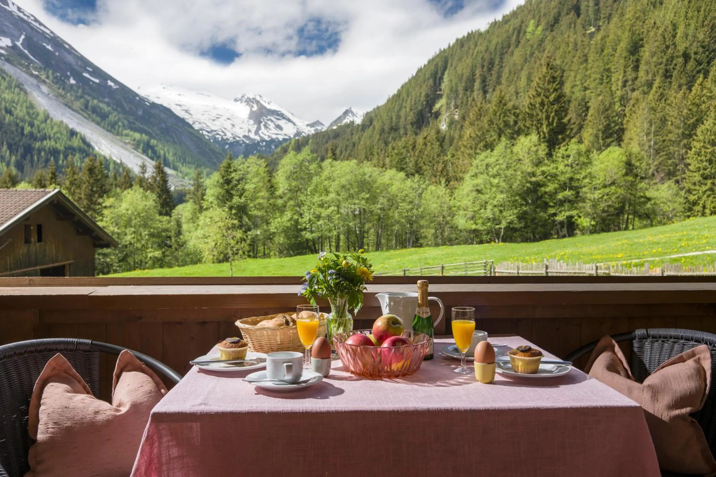 Balcony/Terrace in Mehlerhof