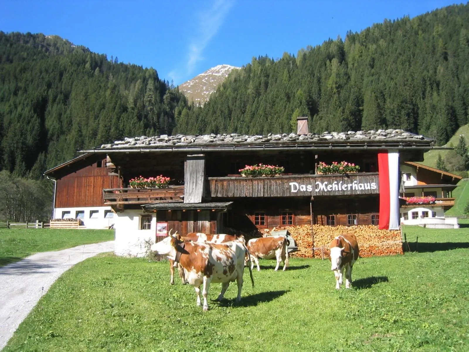Natural landscape in Mehlerhof