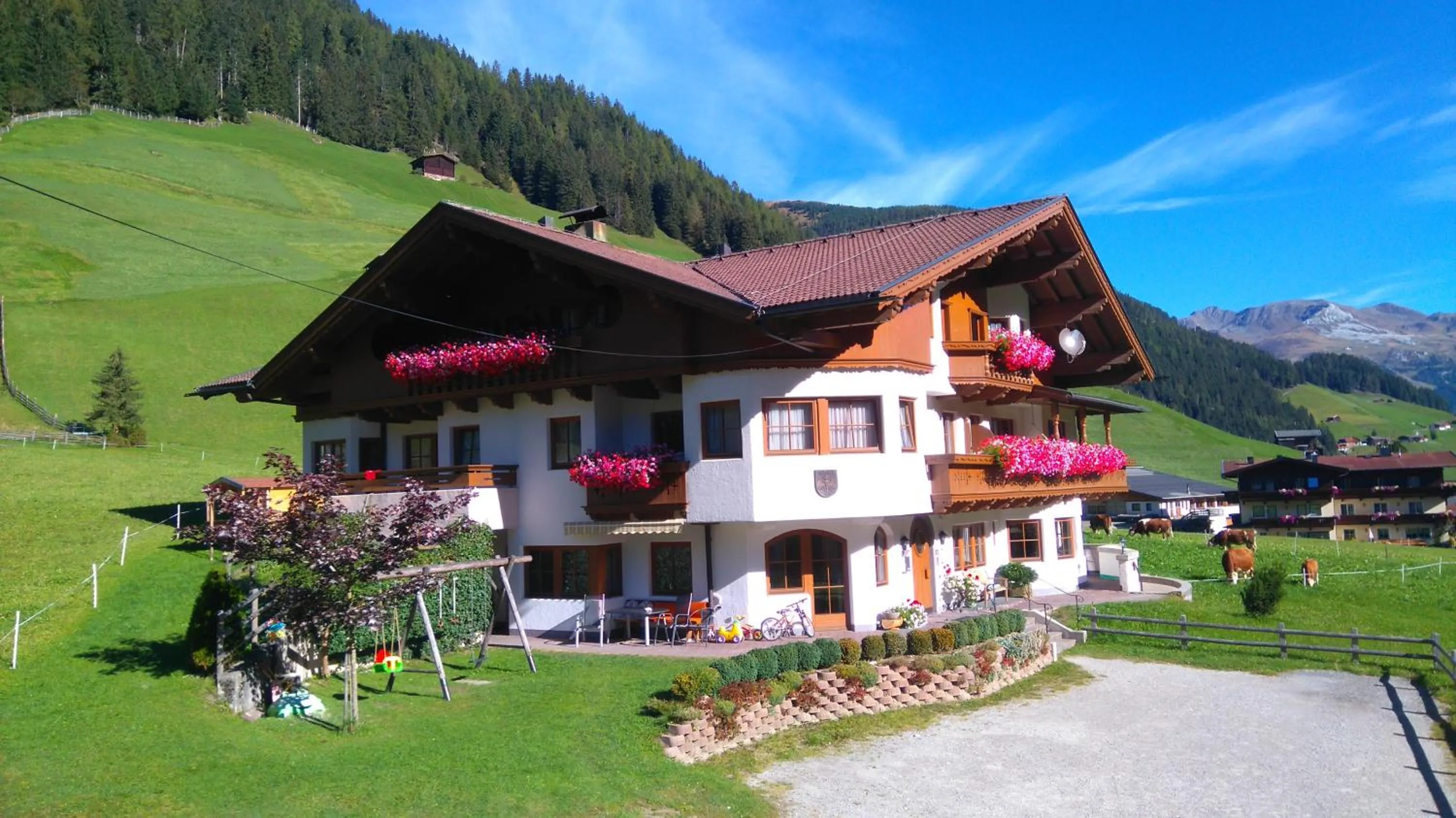 Property building in Mehlerhof