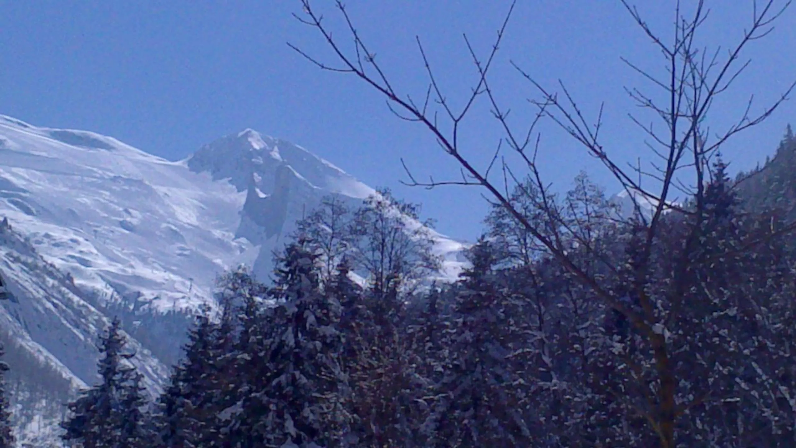 Natural landscape in Mehlerhof