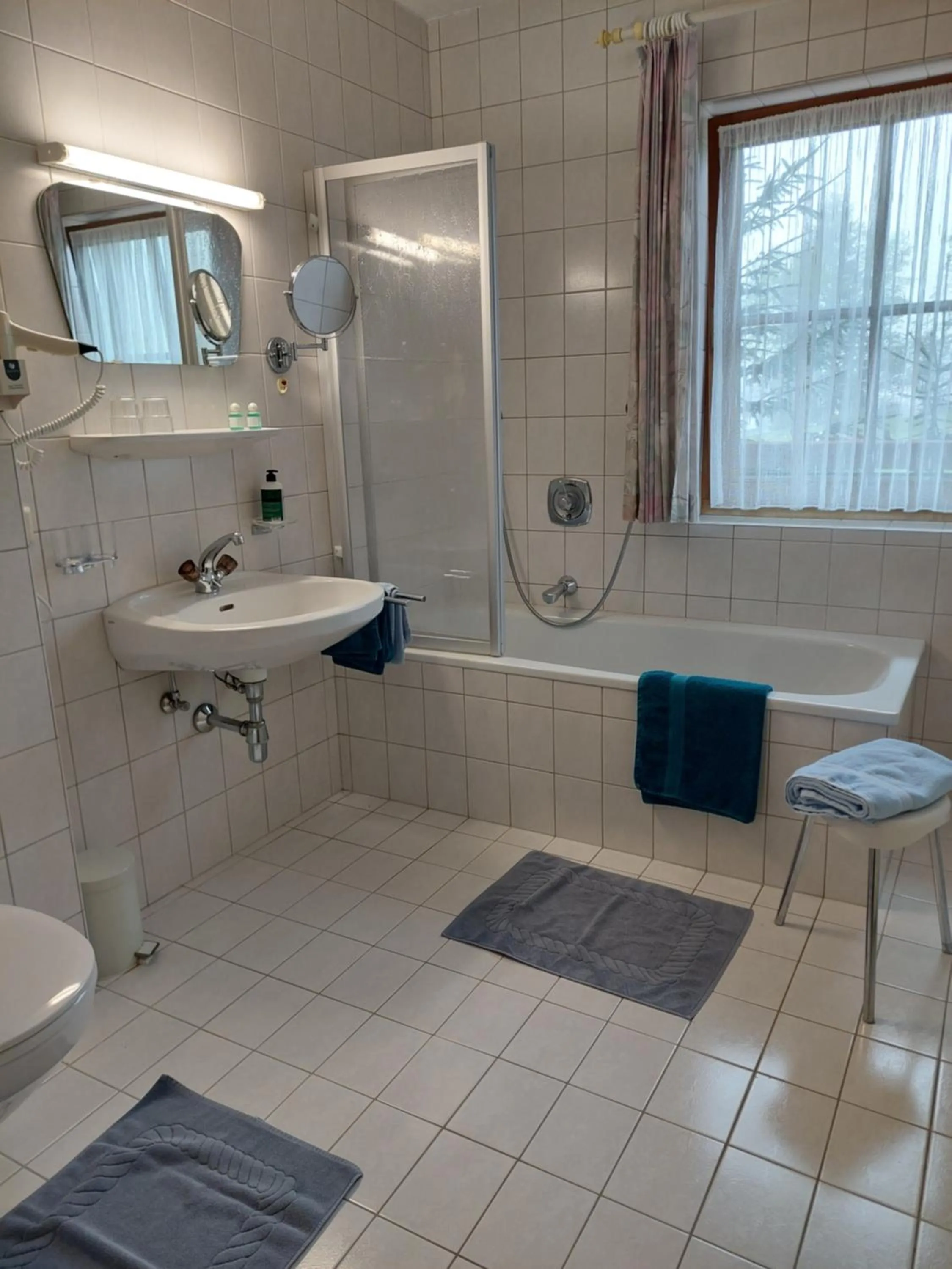 Bathroom in Mehlerhof