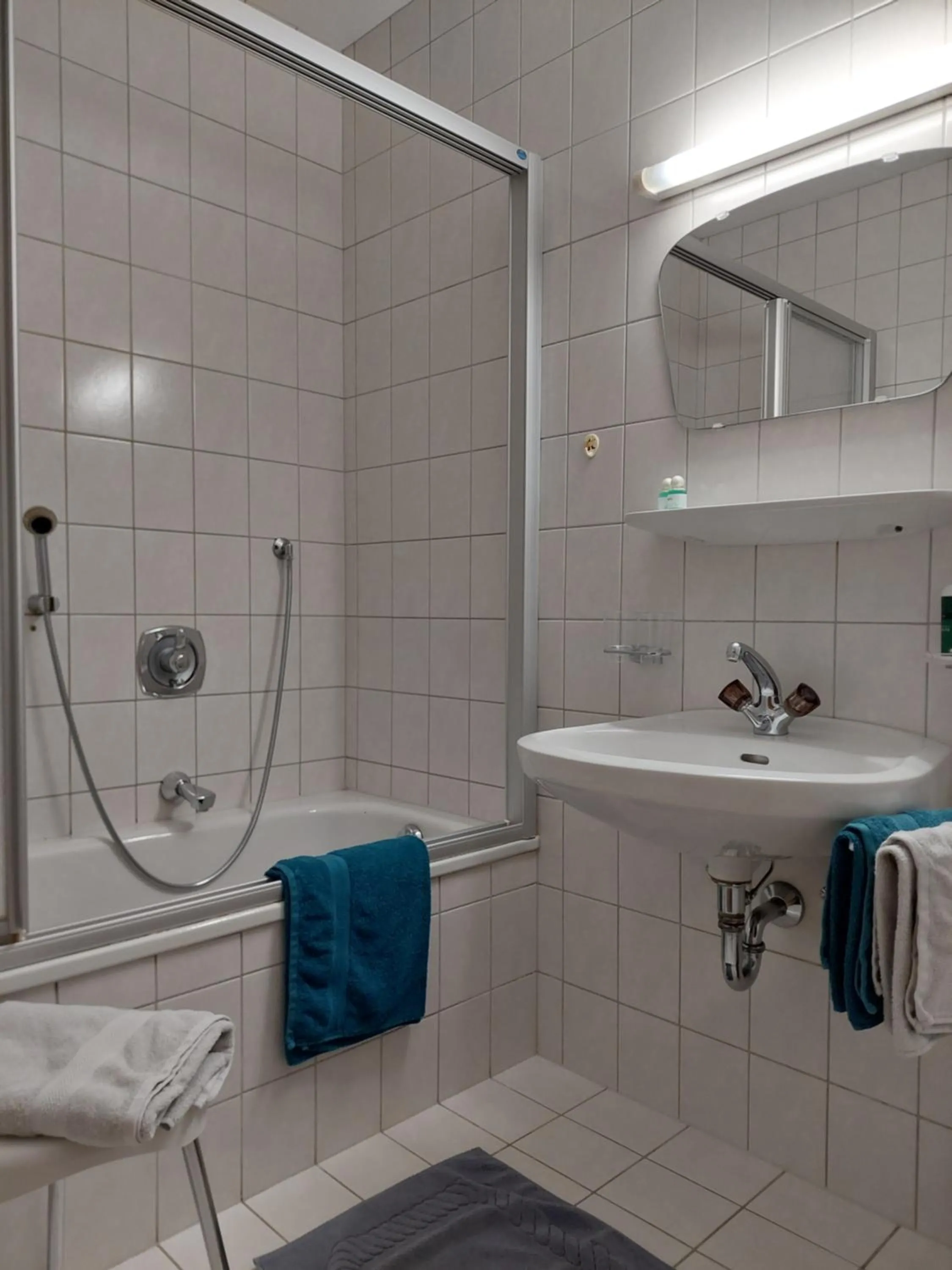 Bathroom in Mehlerhof