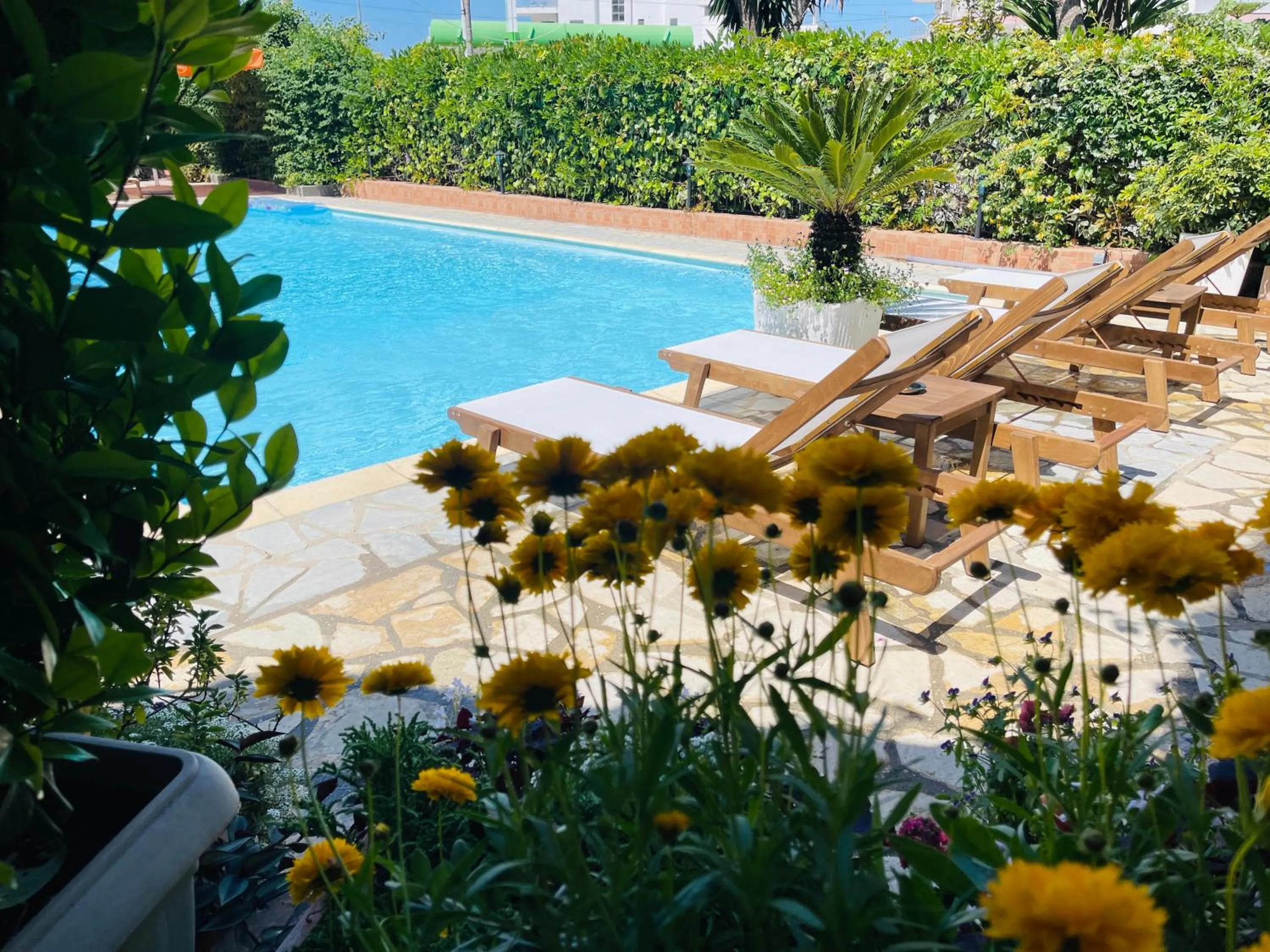 Garden in JB Hotel