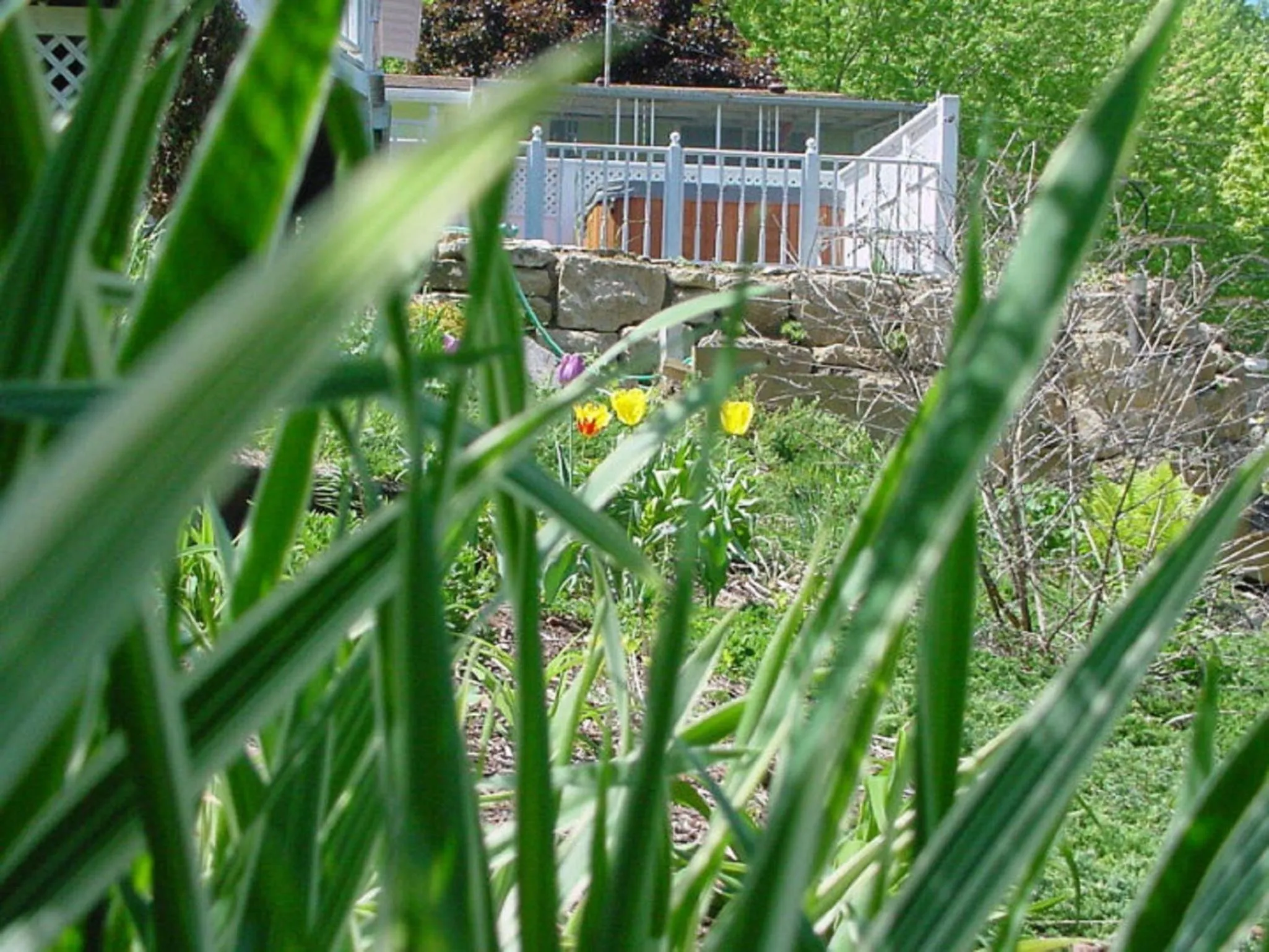 Facade/entrance in Trickling Waters Retreat