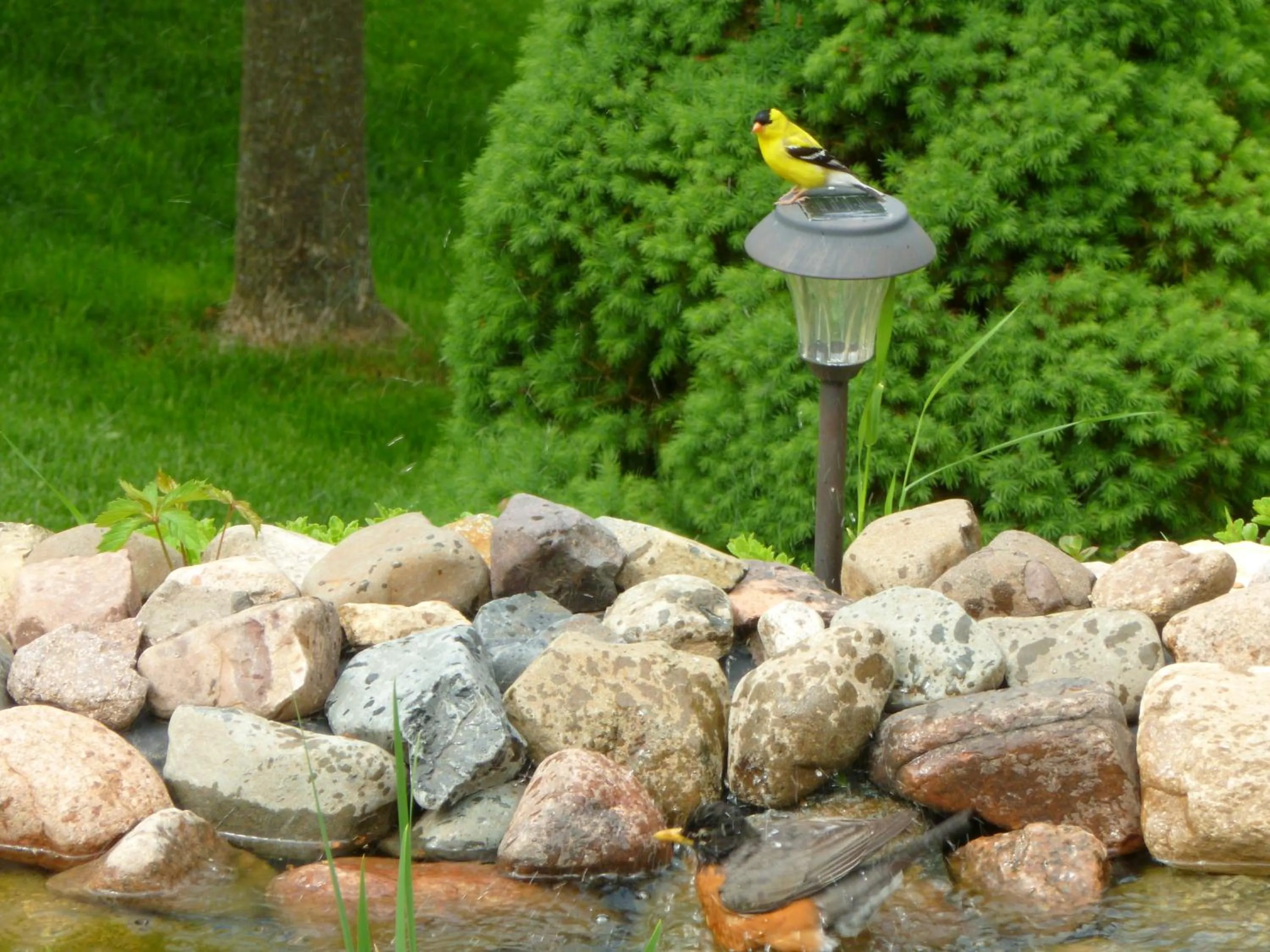 Facade/entrance in Trickling Waters Retreat