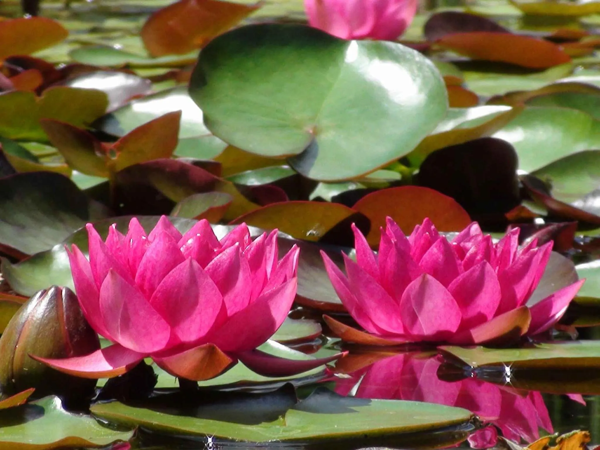 Facade/entrance in Trickling Waters Retreat