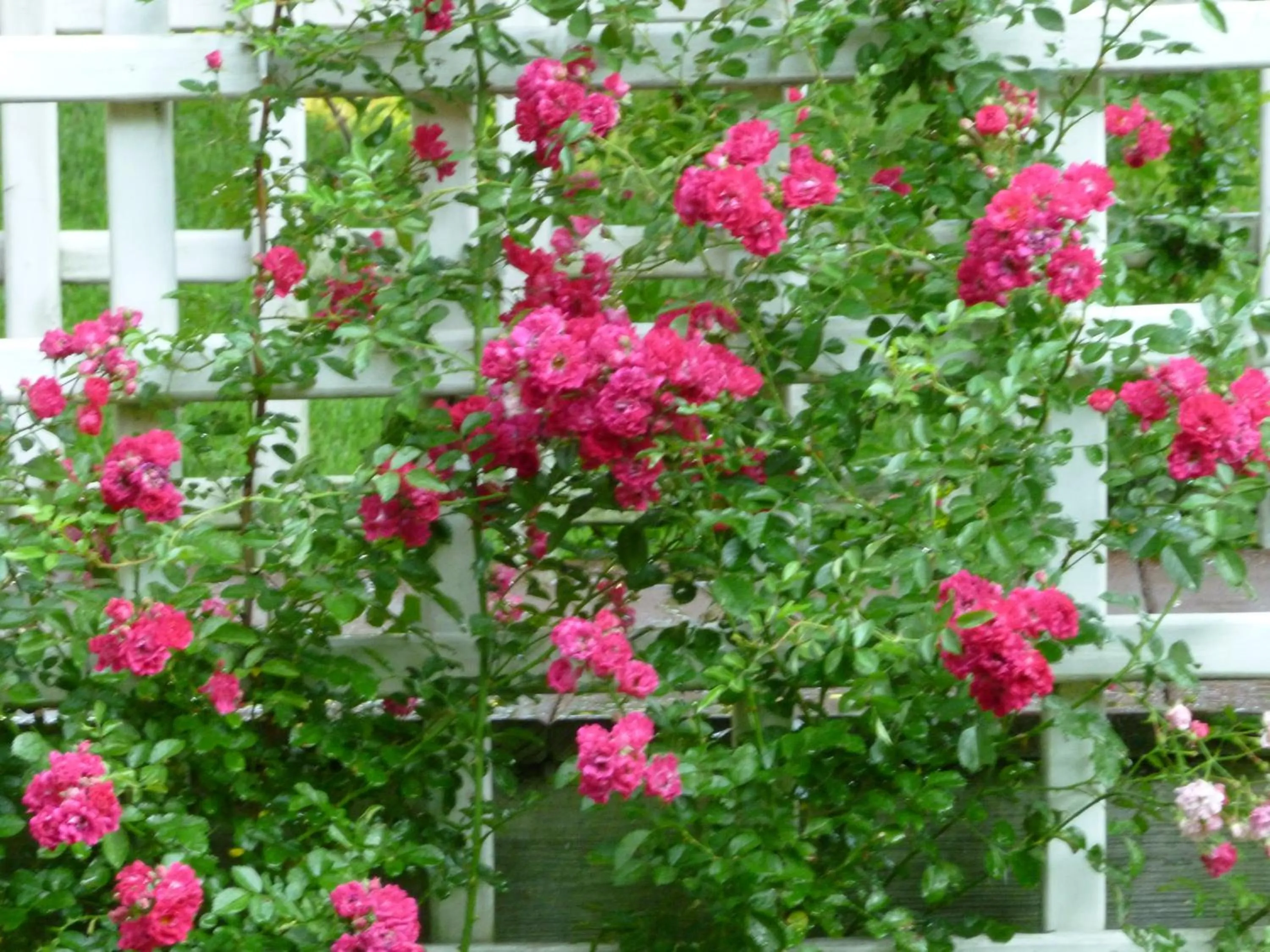 Facade/entrance in Trickling Waters Retreat