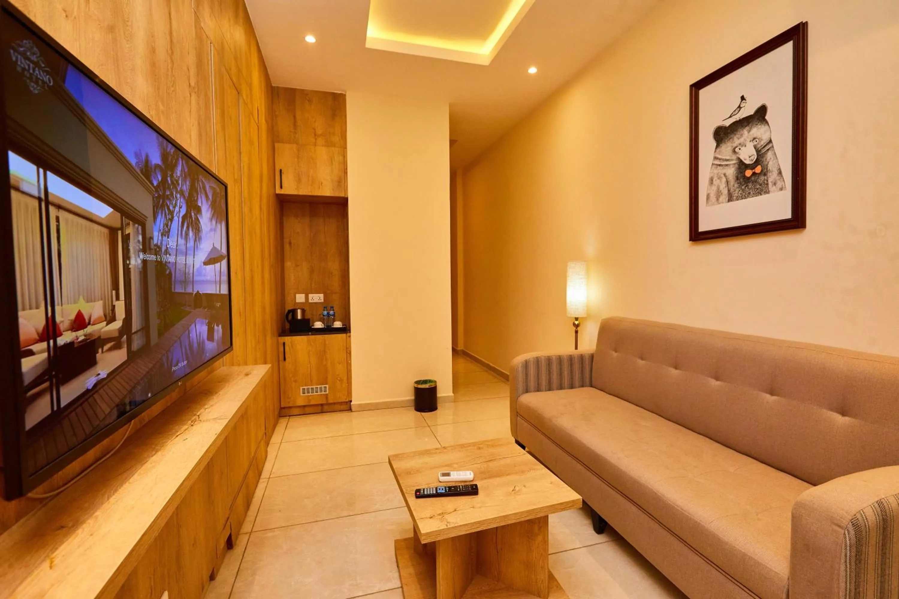 TV and multimedia in Vintano Hotel