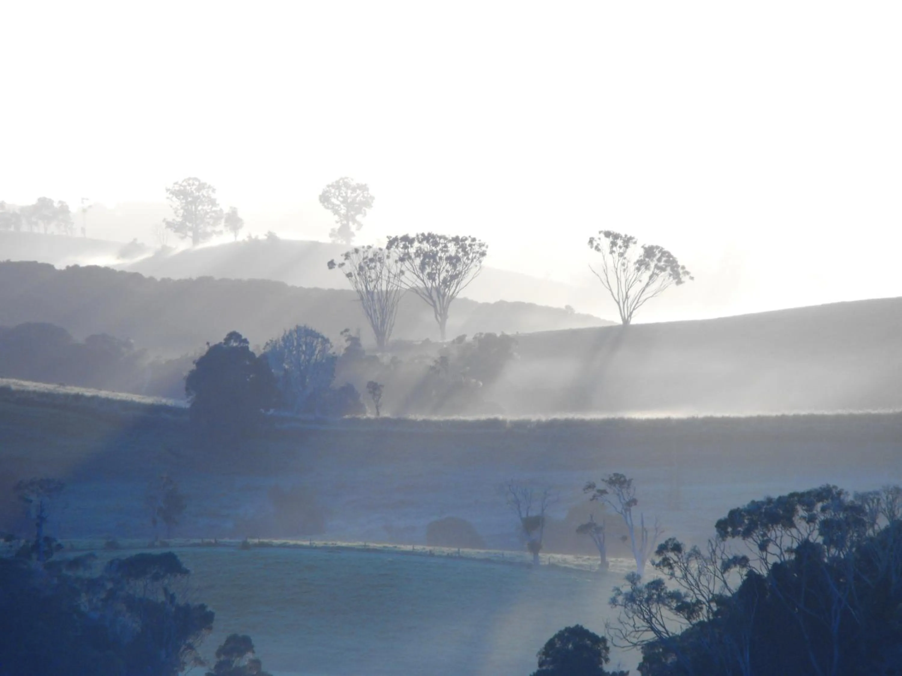 Natural landscape in Tinaroo Sunset Retreat