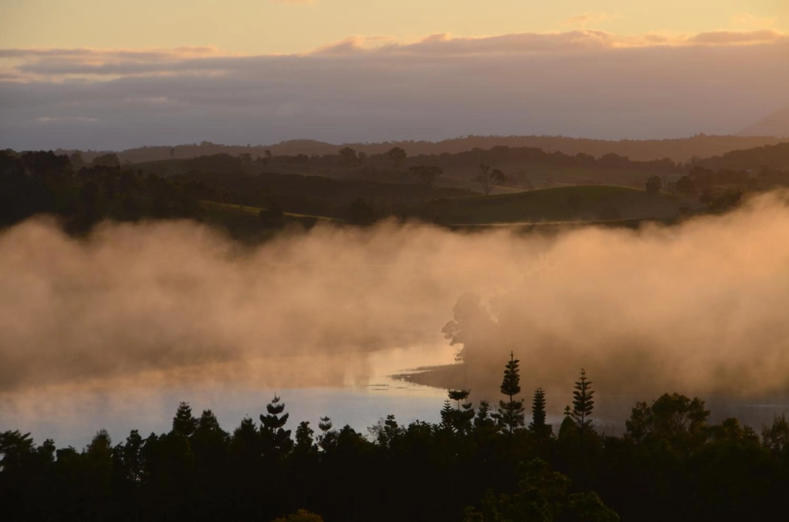 Natural landscape in Tinaroo Sunset Retreat