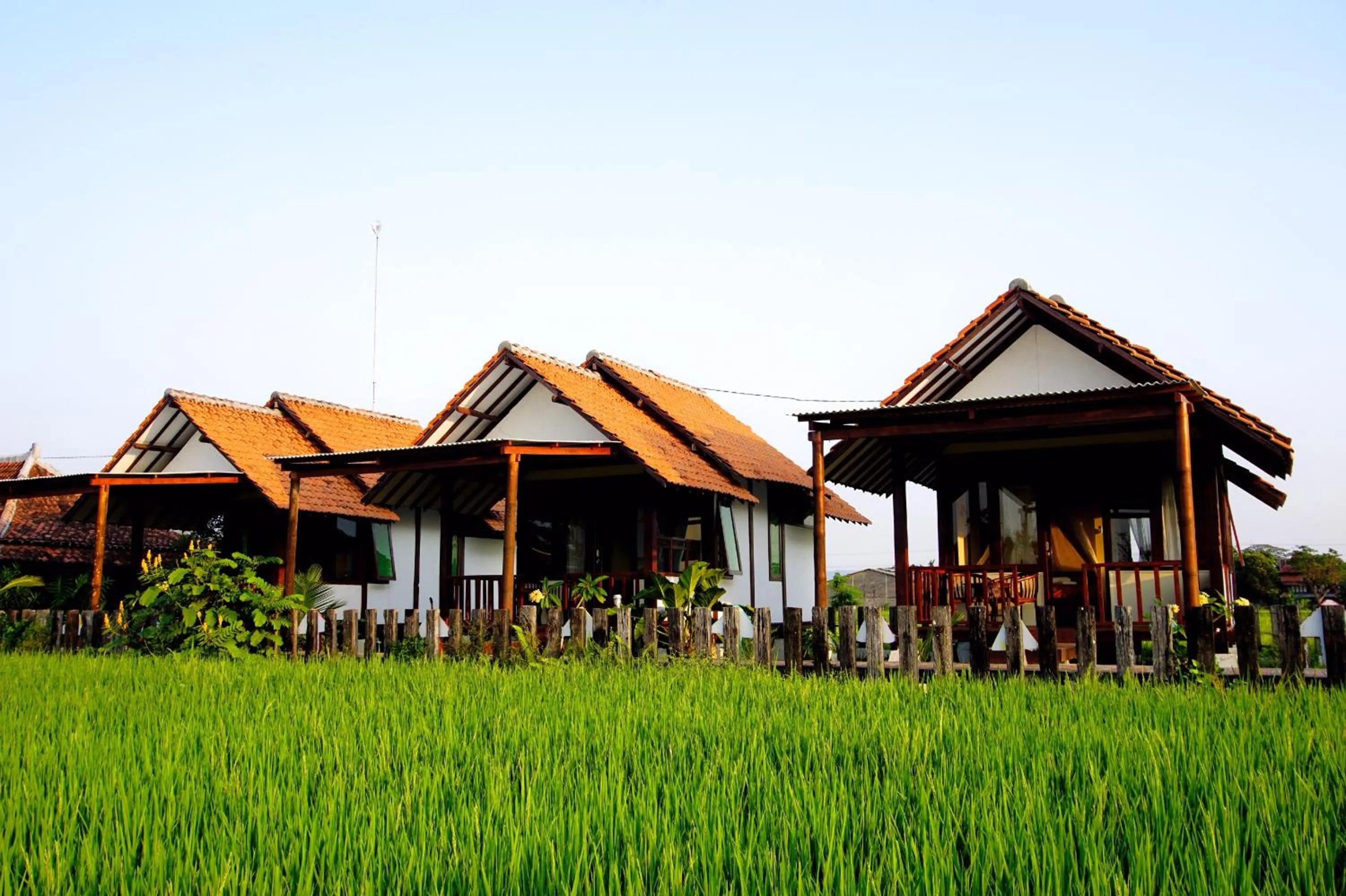 Property building in Ary's Residence powered by Cocotel