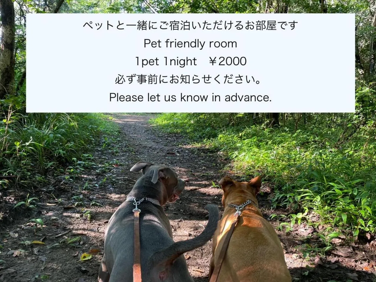 Pets in Tabist Guest house Pumping Surf