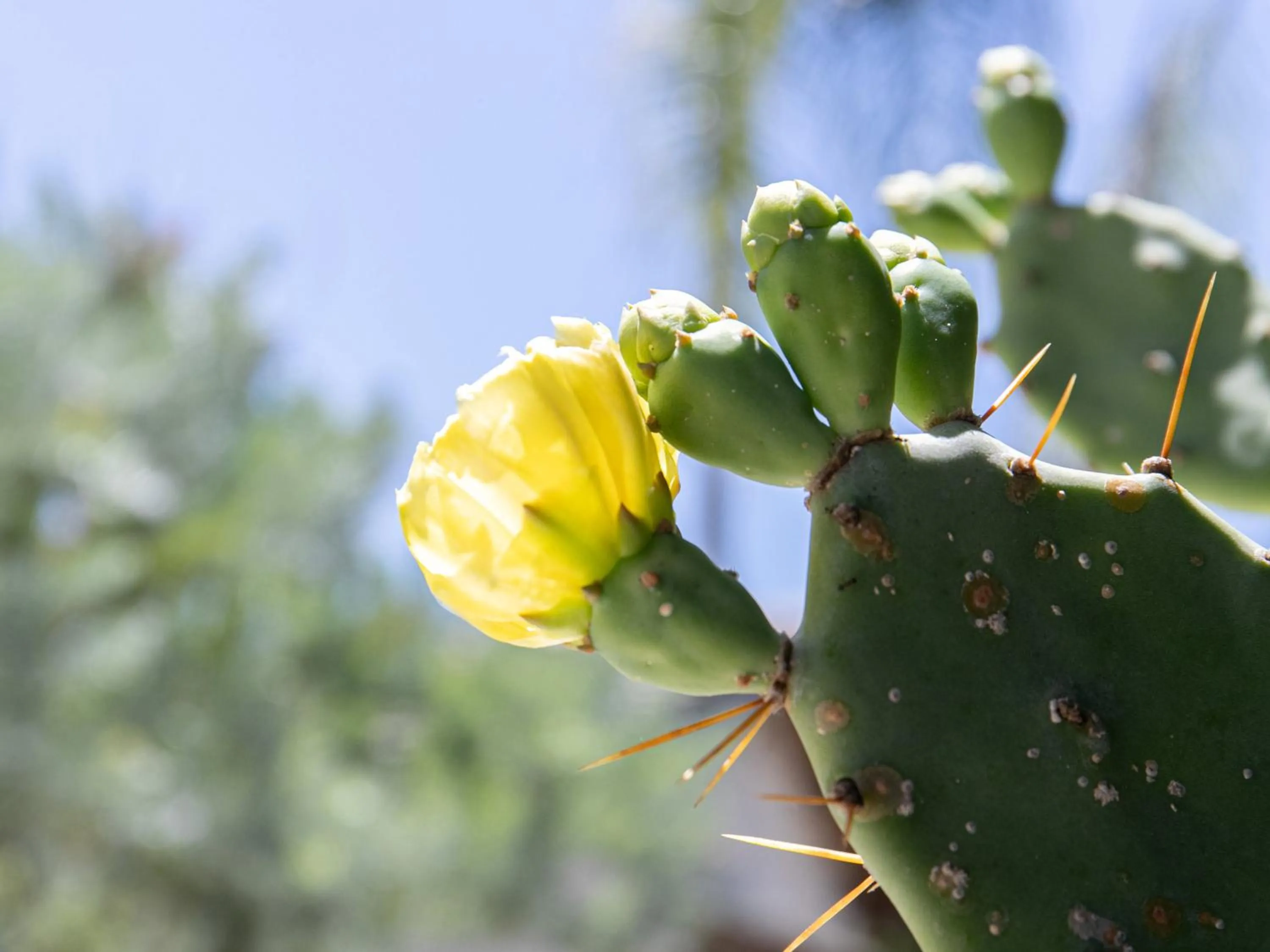 Other in Tabist Guest house Pumping Surf