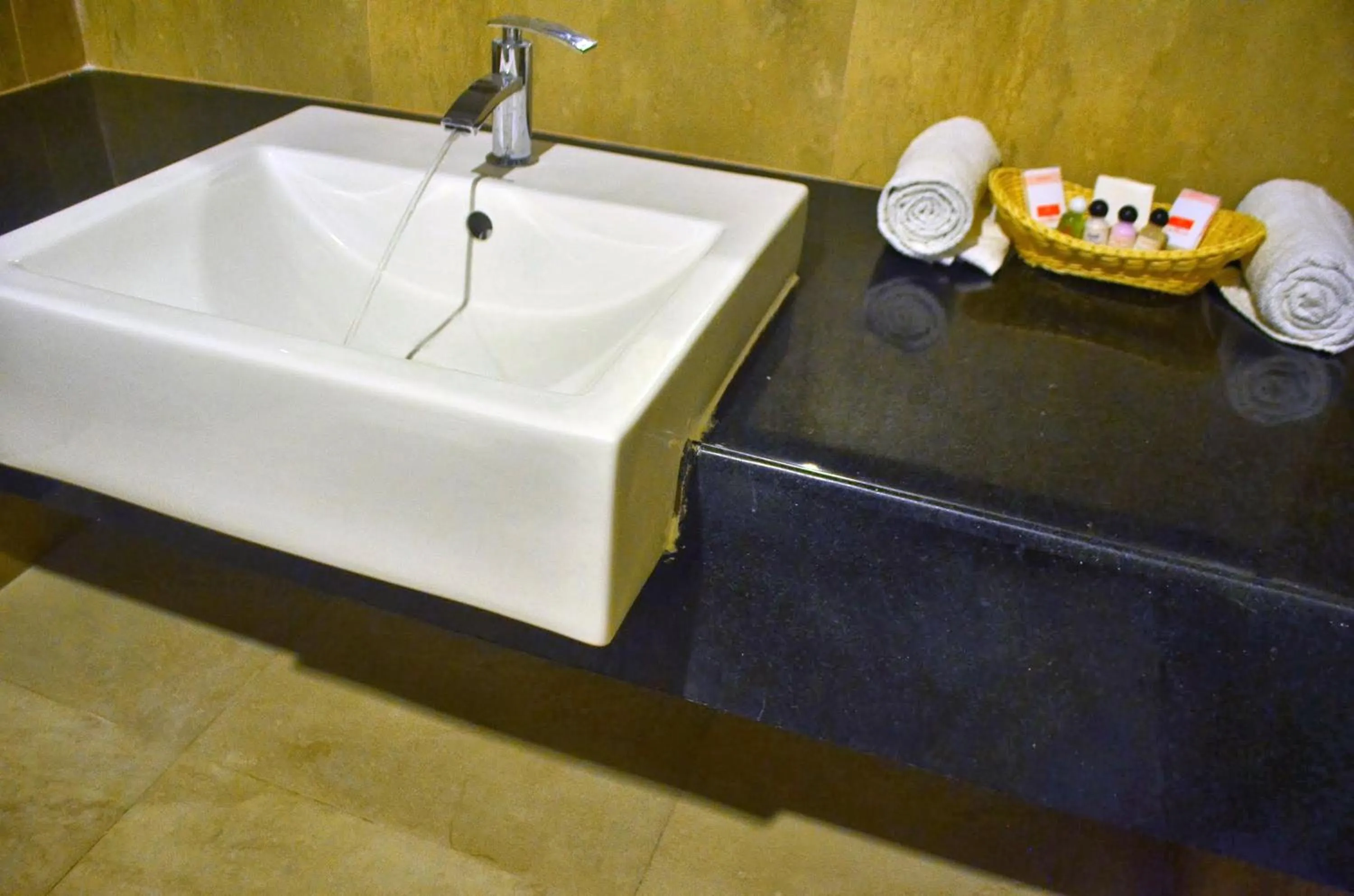 Toilet in Hotel Arunachala