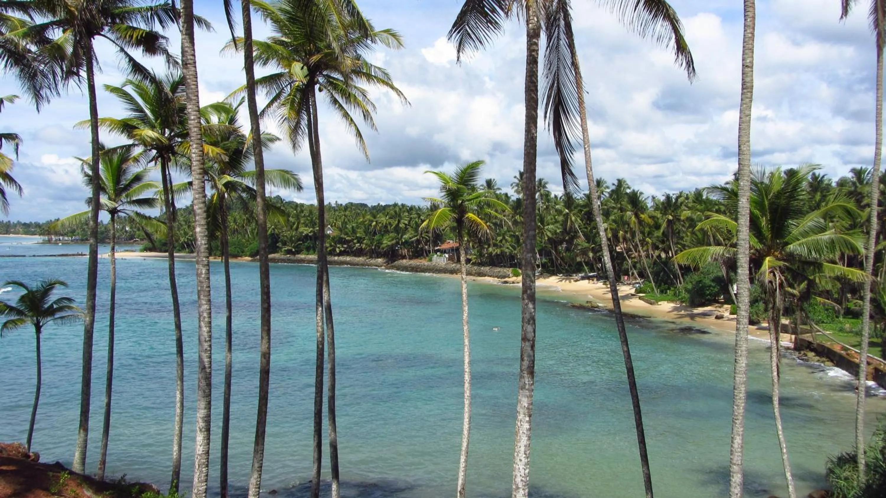 Sea view in Peacock Wings Guest