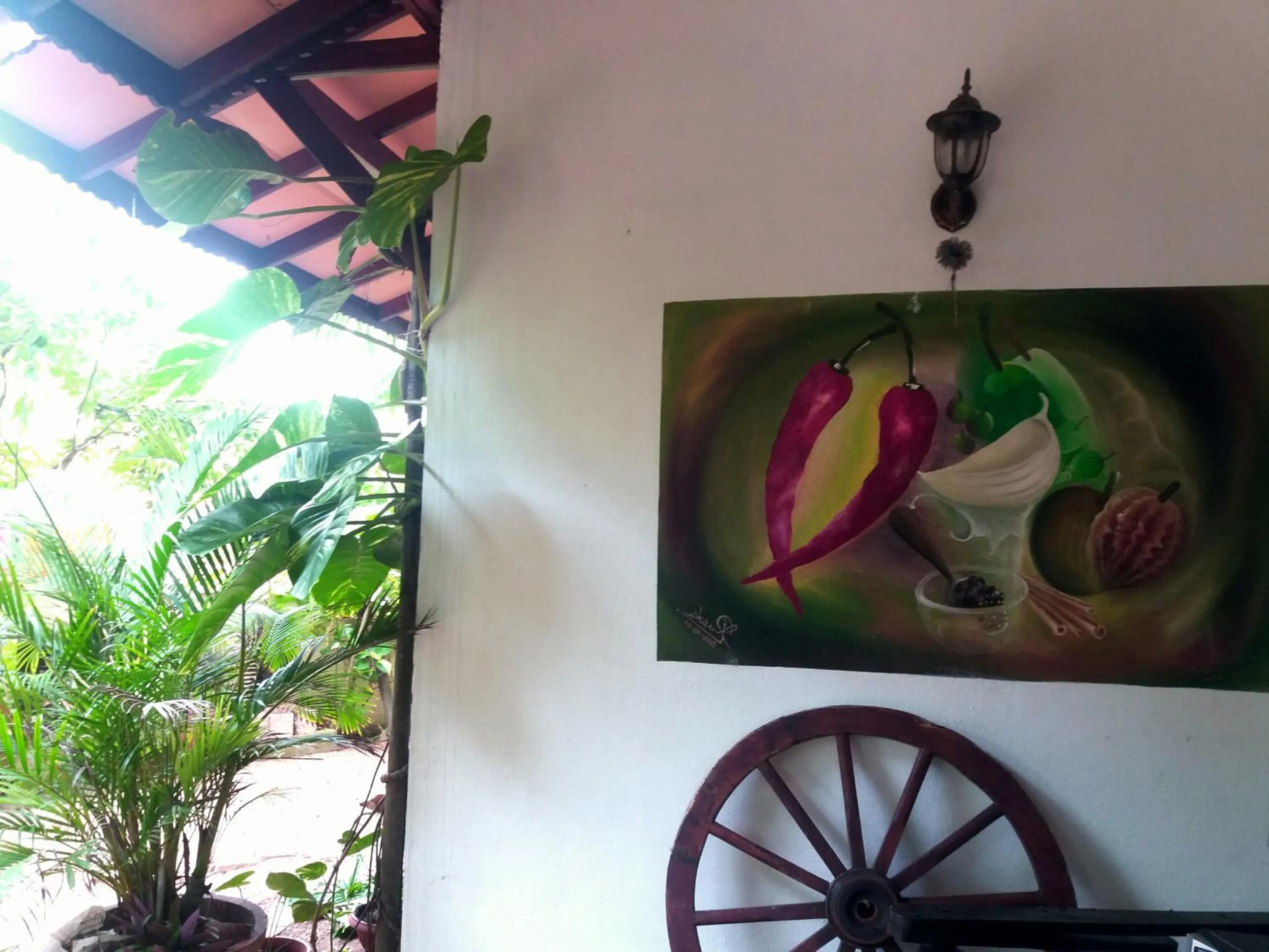 Patio in Peacock Wings Guest