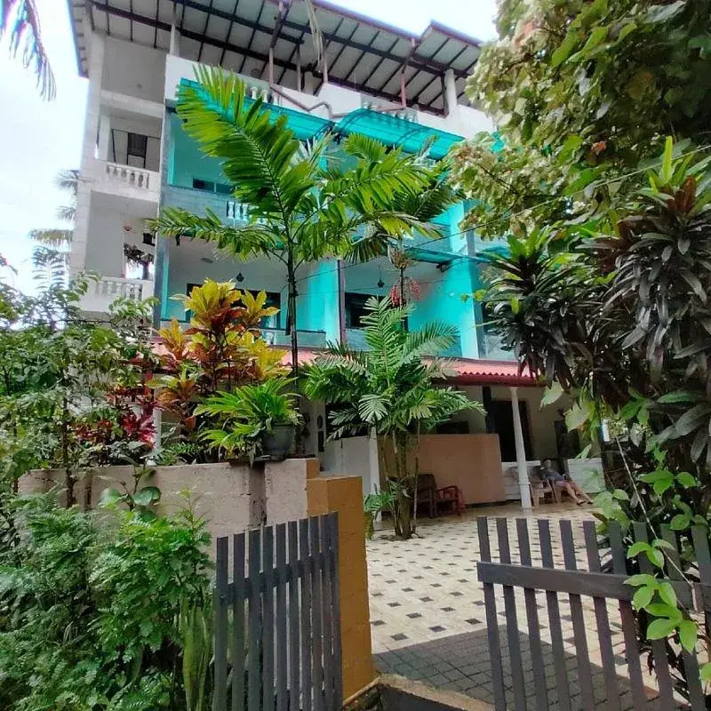 Peacock Wings Guest Peacock Wings Guest