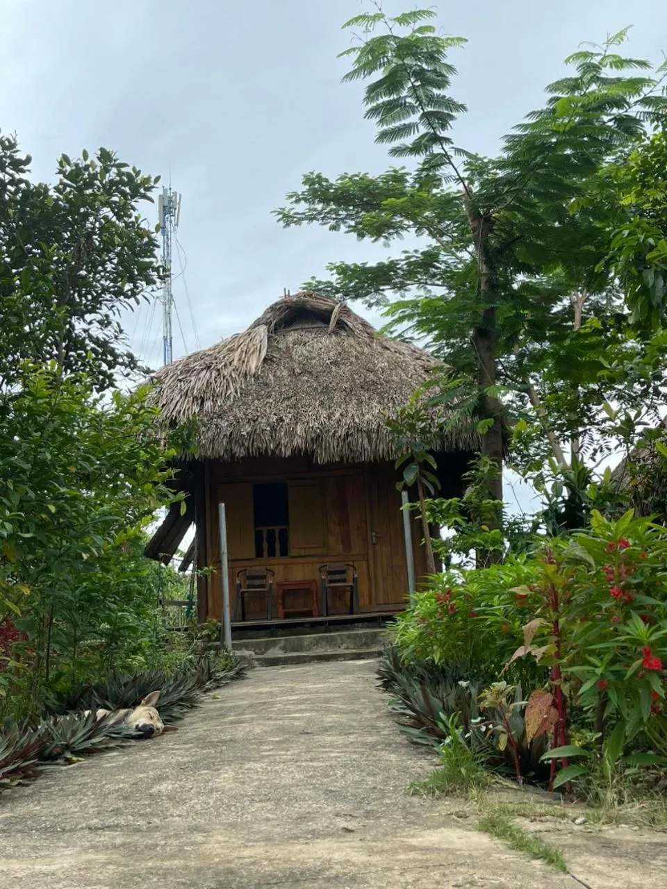Cuc Phuong Bungalow