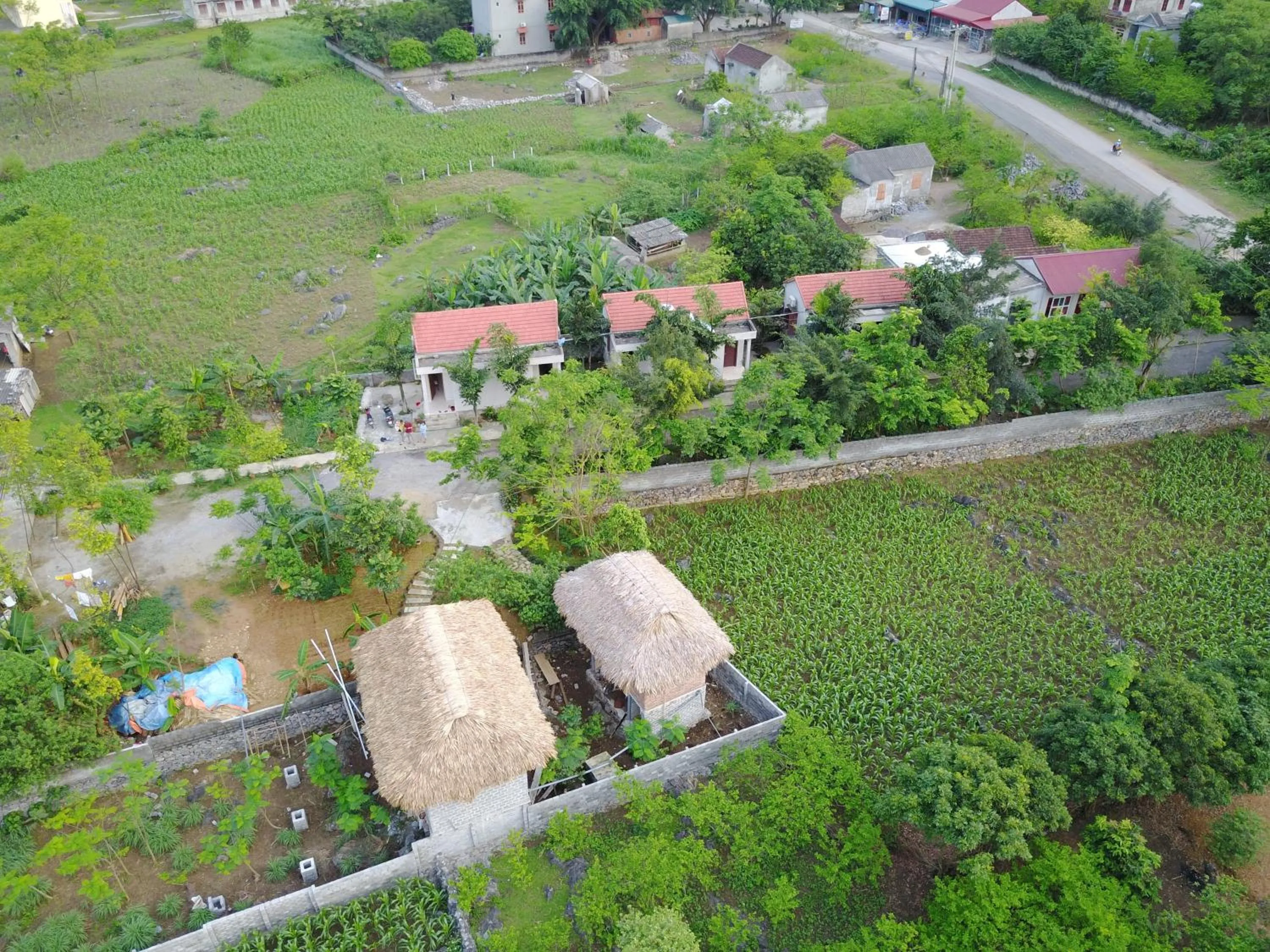 Neighbourhood in Cuc Phuong Bungalow