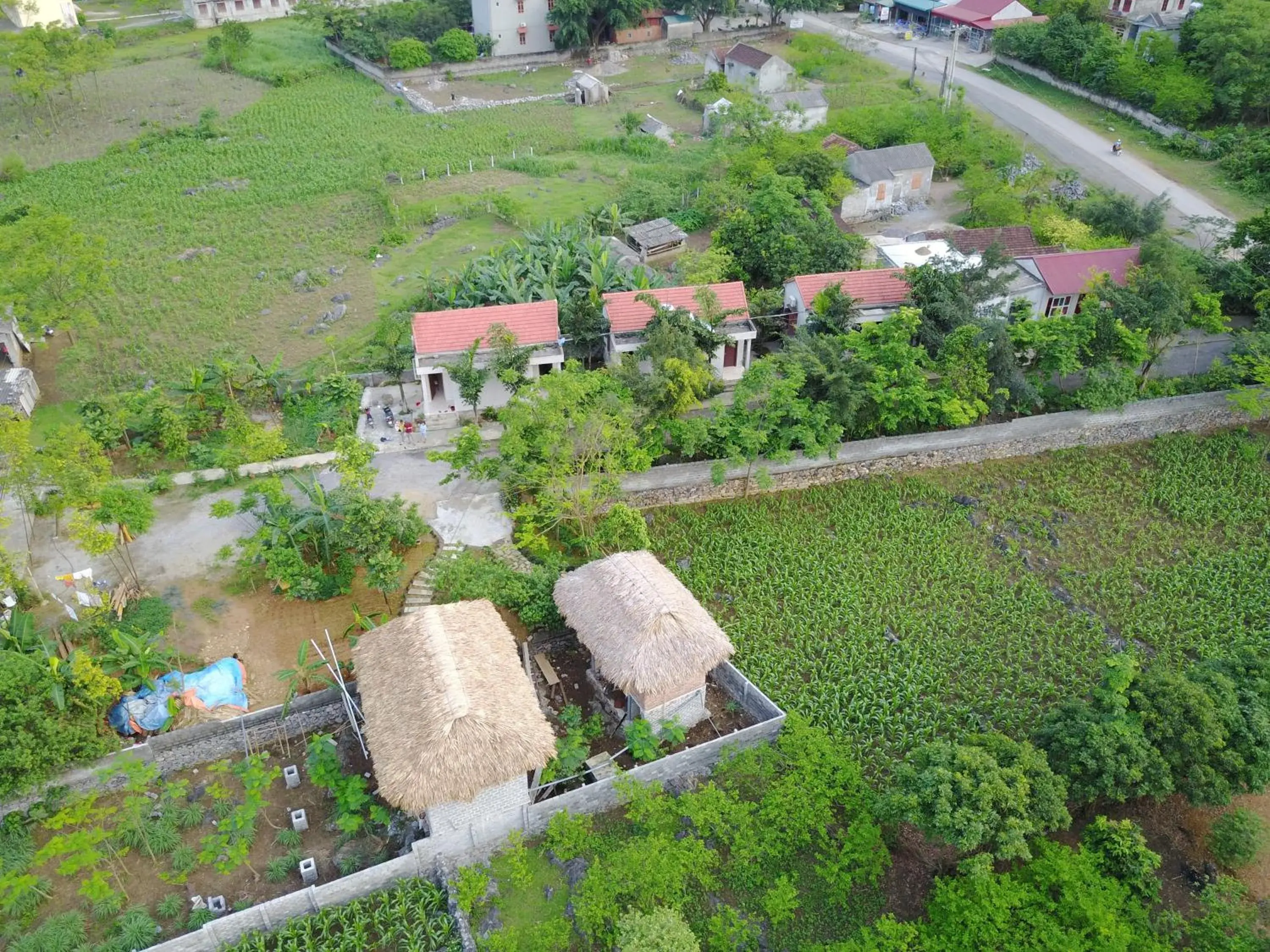 Cuc Phuong Bungalow Cuc Phuong Bungalow