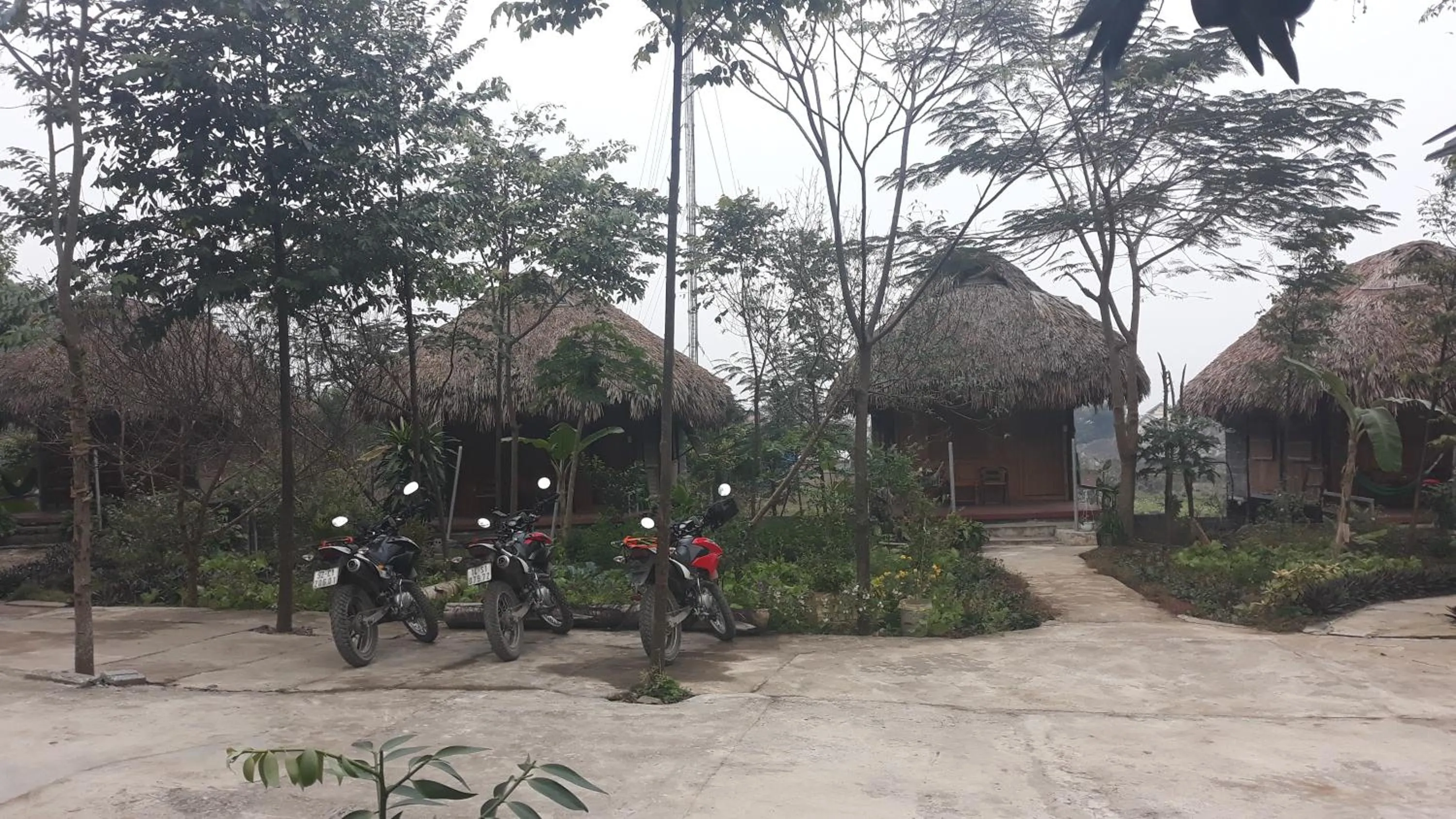 Cuc Phuong Bungalow