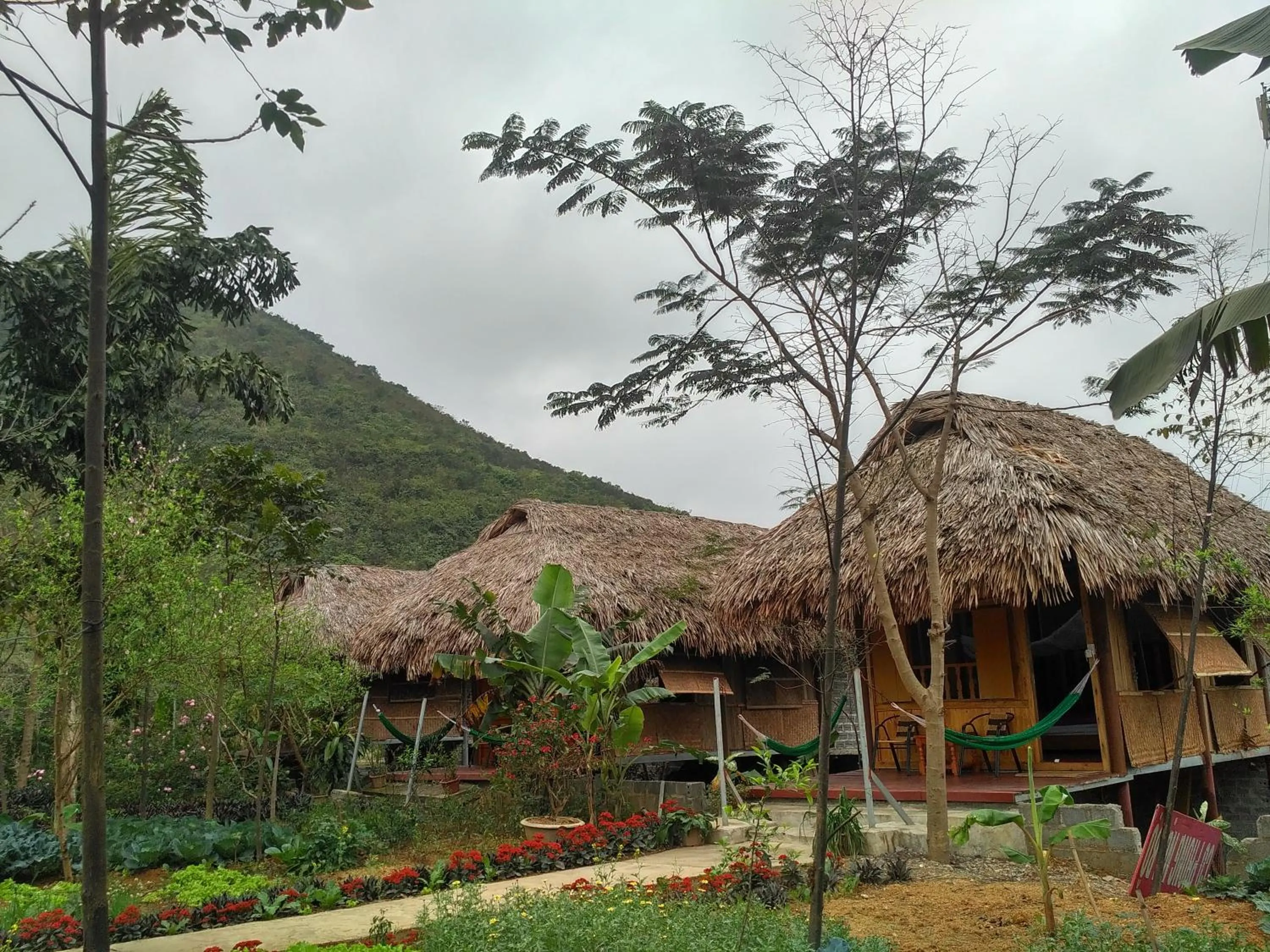 Cuc Phuong Bungalow