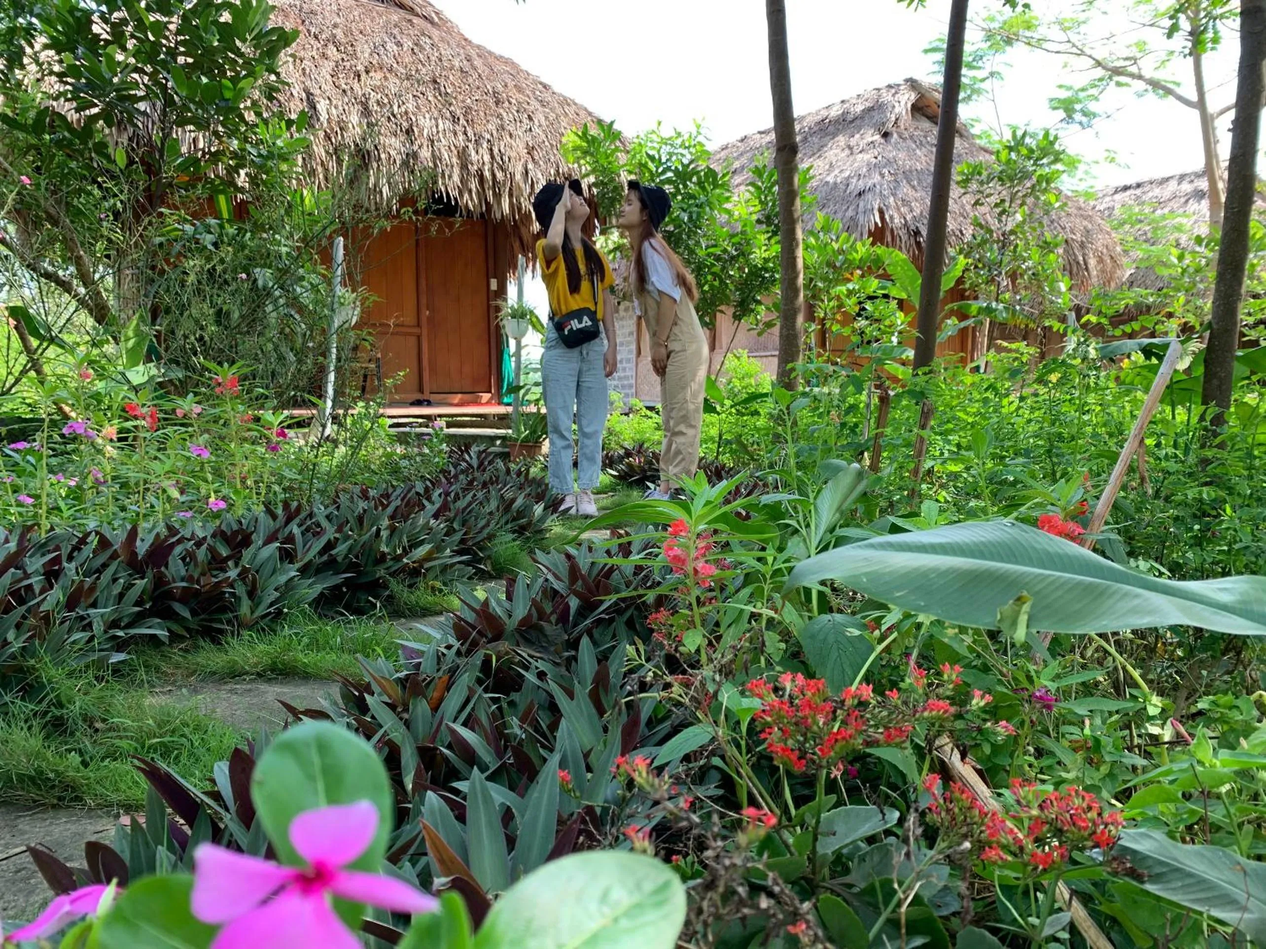 Cuc Phuong Bungalow