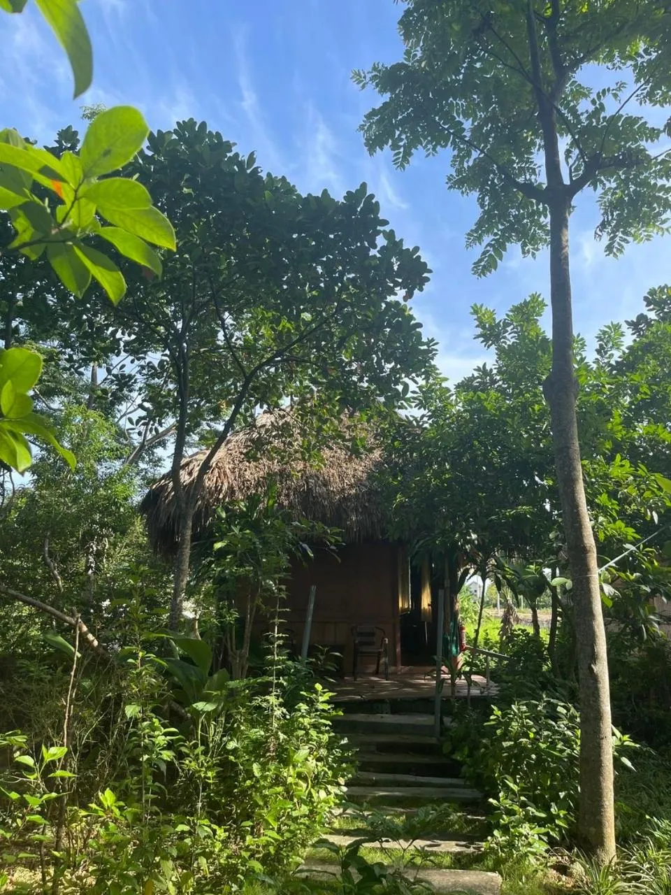 Cuc Phuong Bungalow