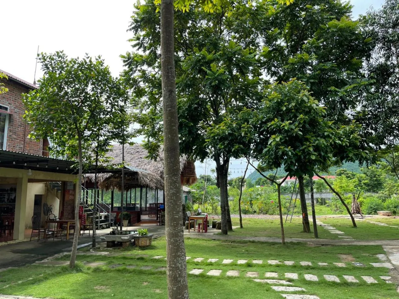 Cuc Phuong Bungalow