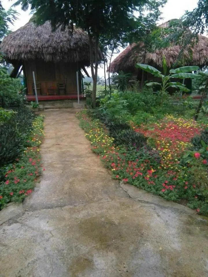 Cuc Phuong Bungalow
