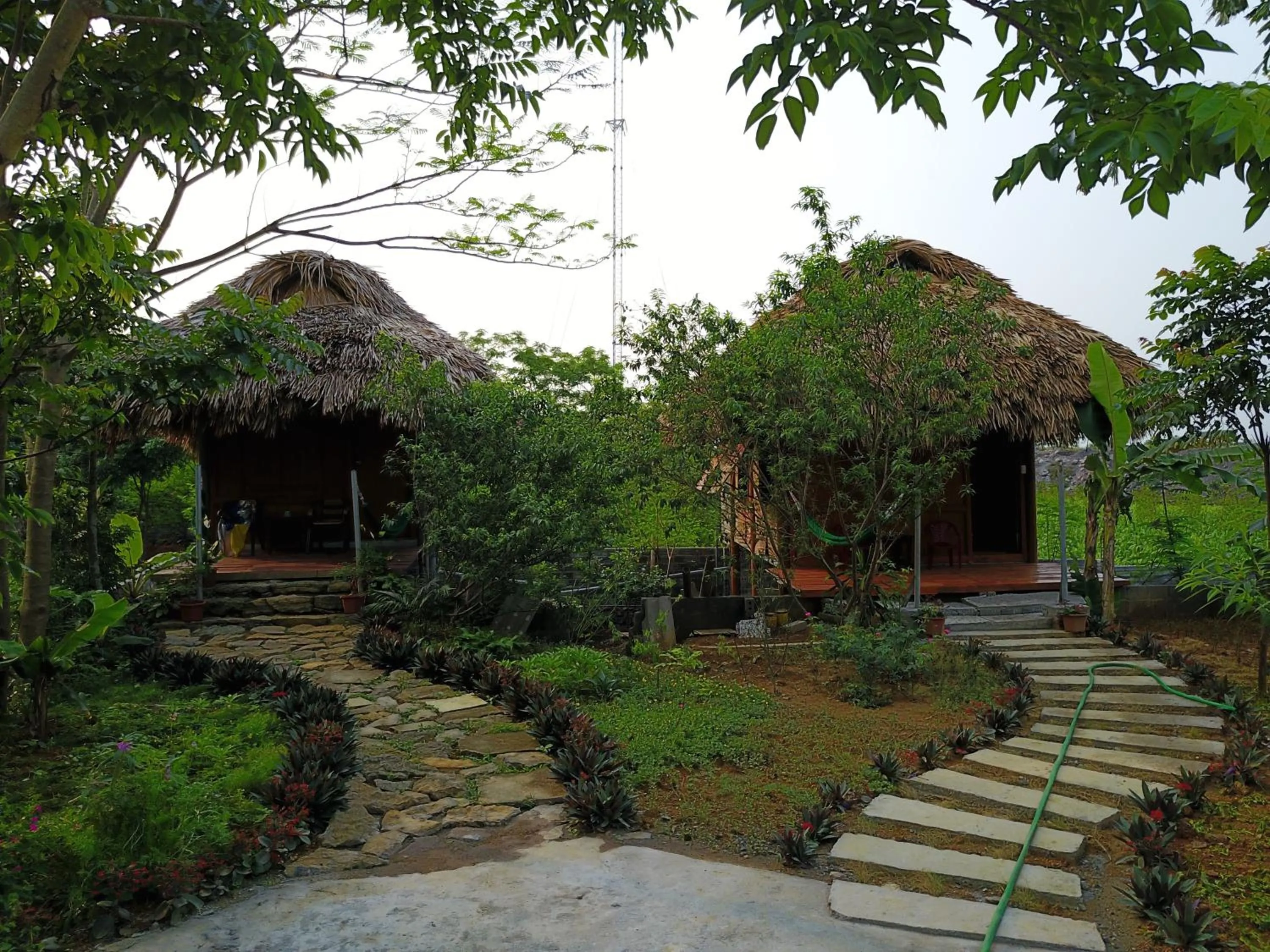 Garden in Cuc Phuong Bungalow