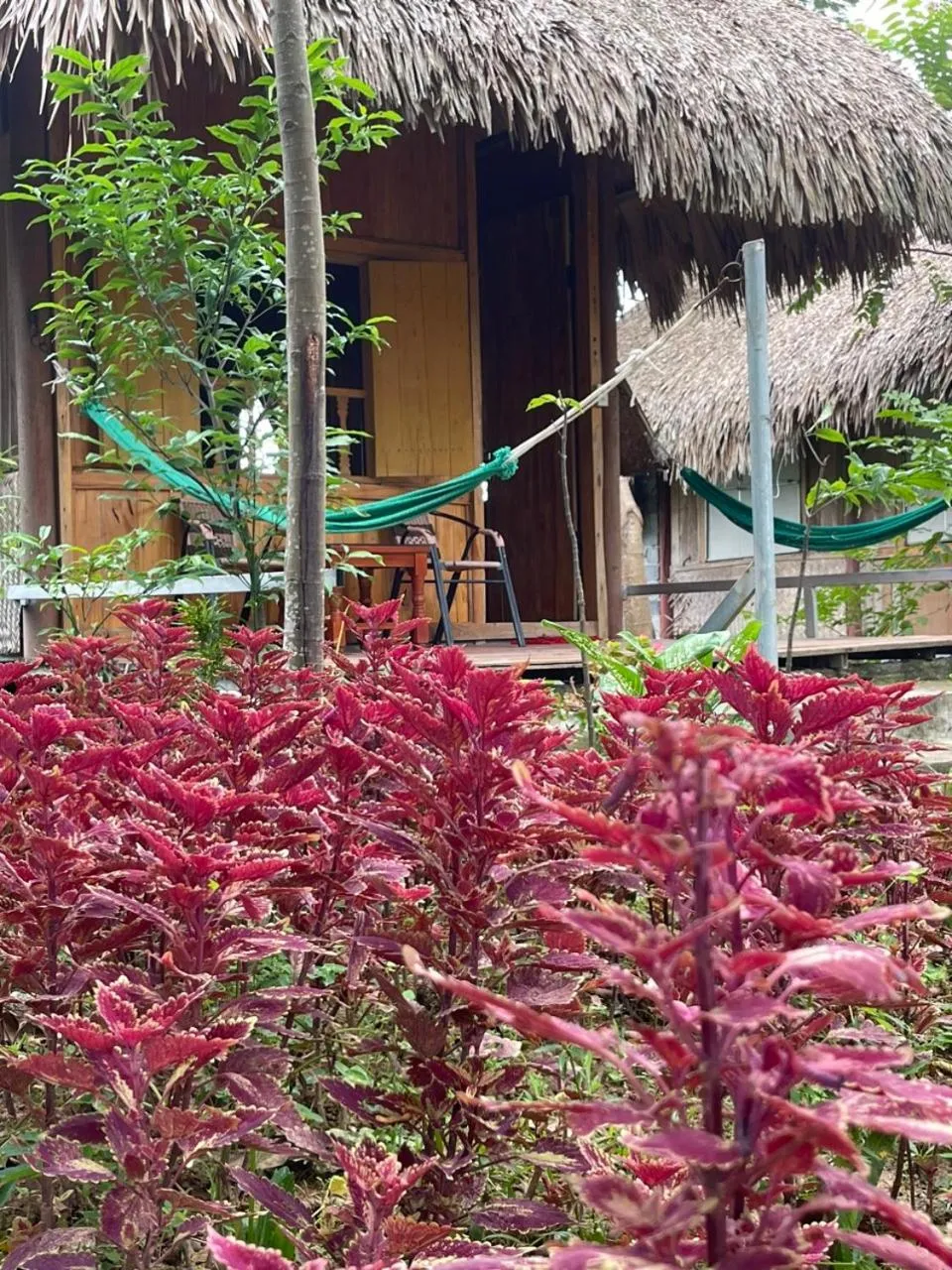 Cuc Phuong Bungalow