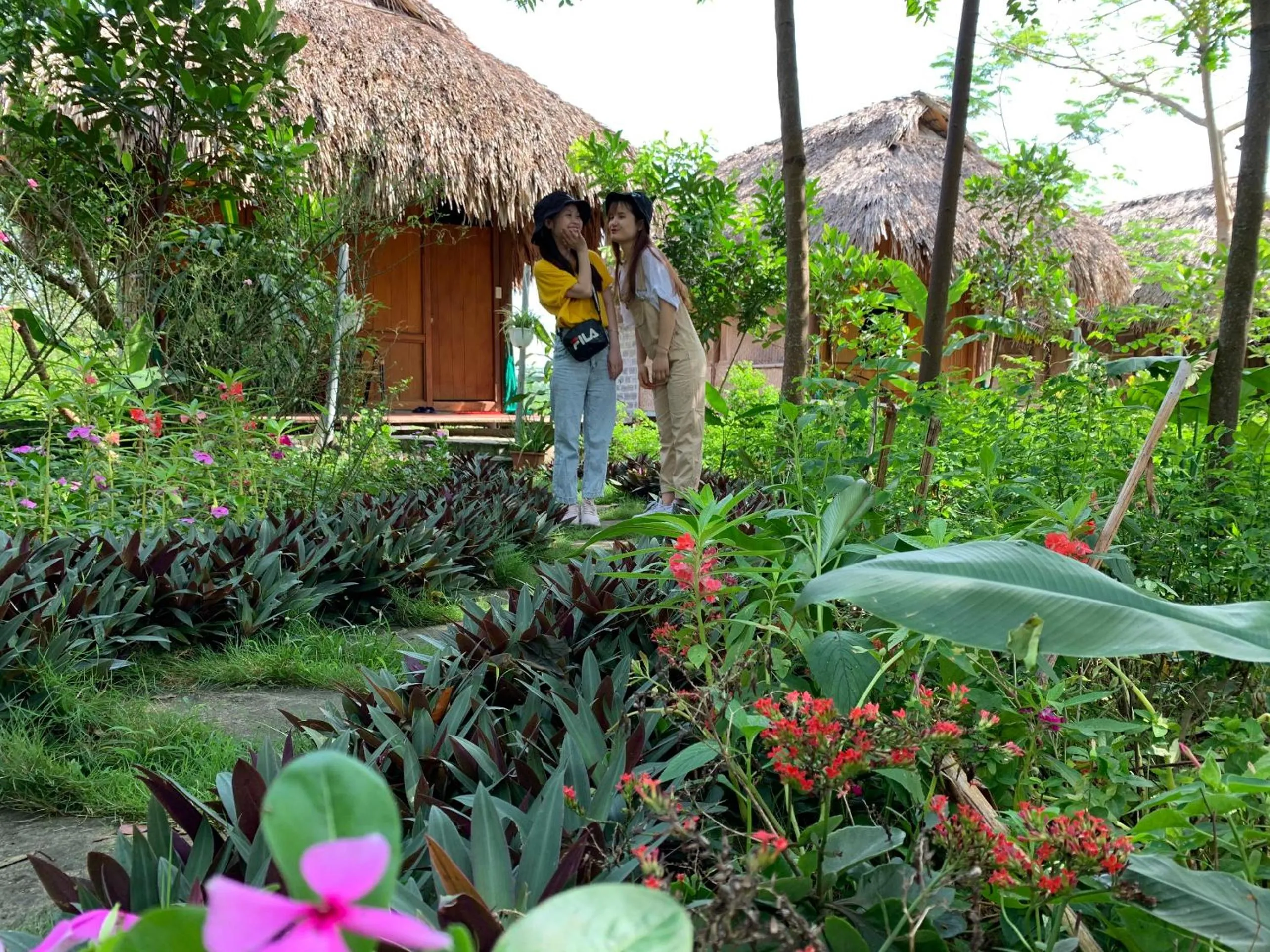 Cuc Phuong Bungalow