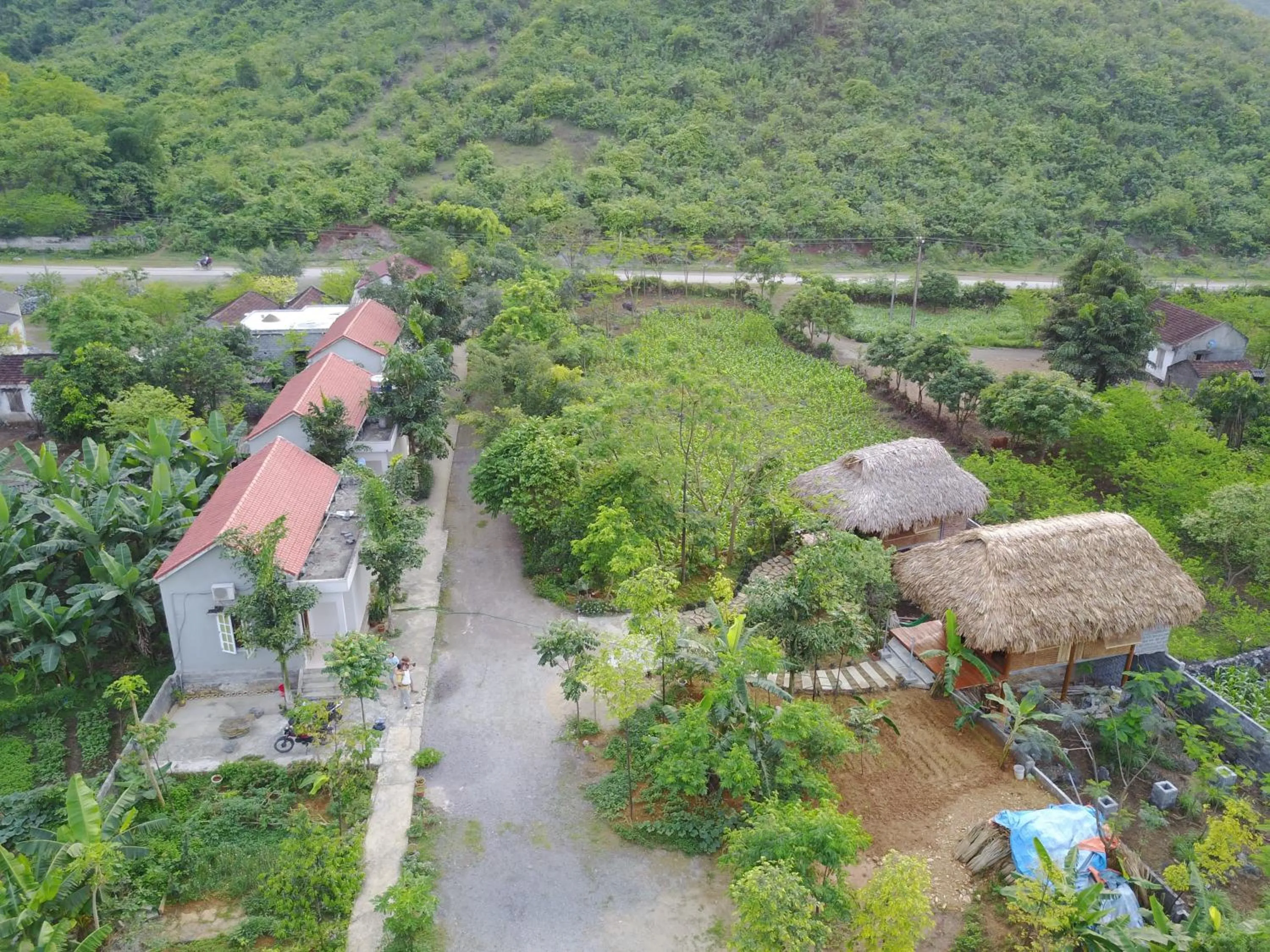 Bird's eye view in Cuc Phuong Bungalow