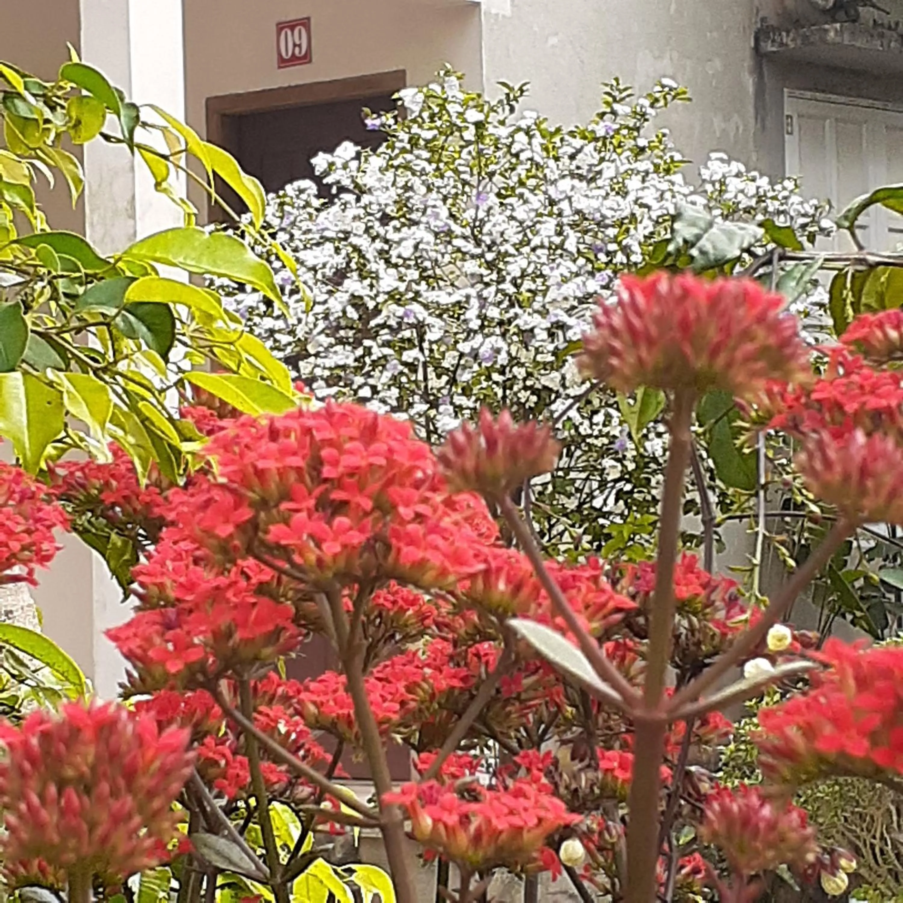 Cuc Phuong Bungalow