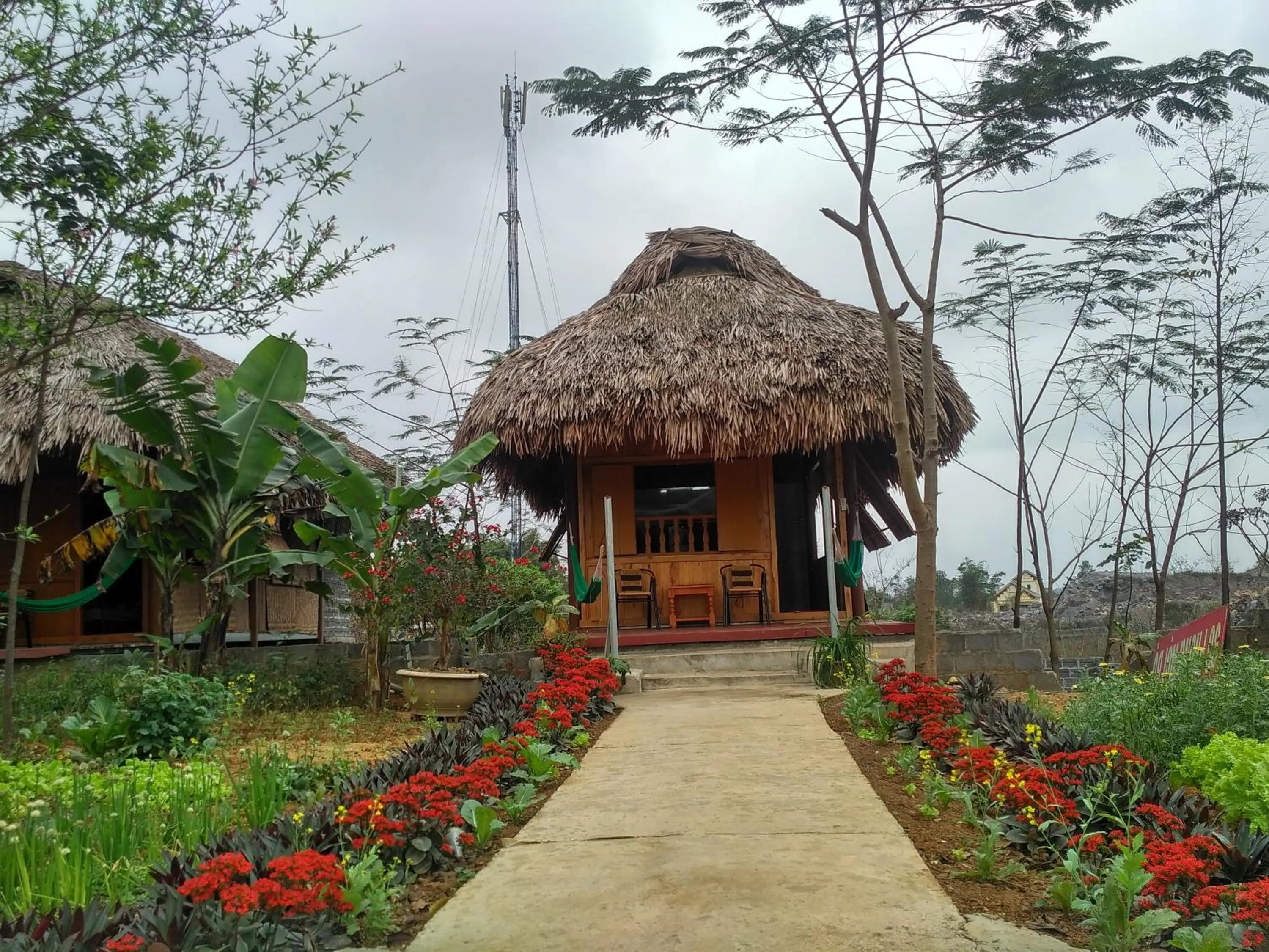 Cuc Phuong Bungalow
