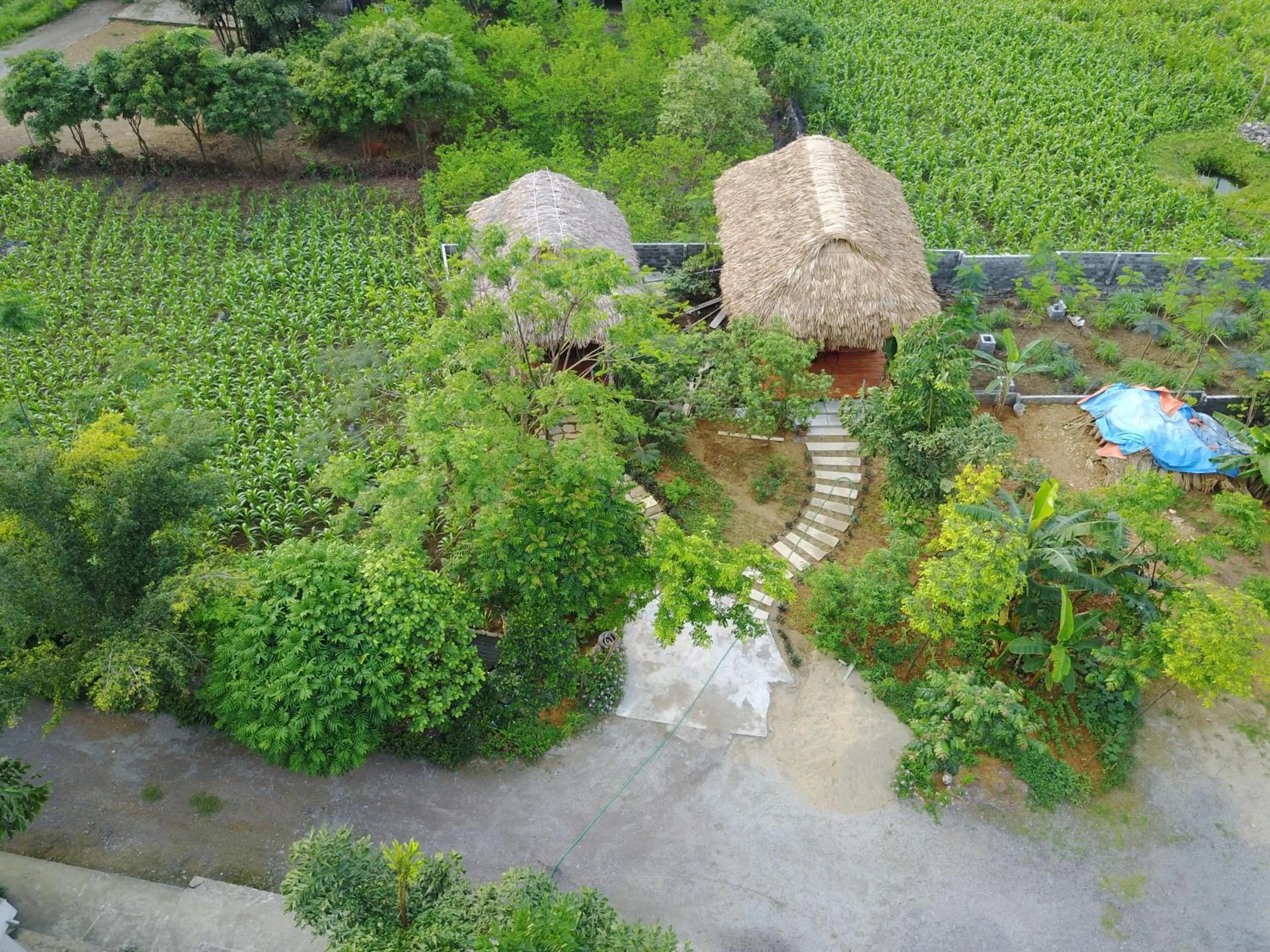 Bird's eye view in Cuc Phuong Bungalow
