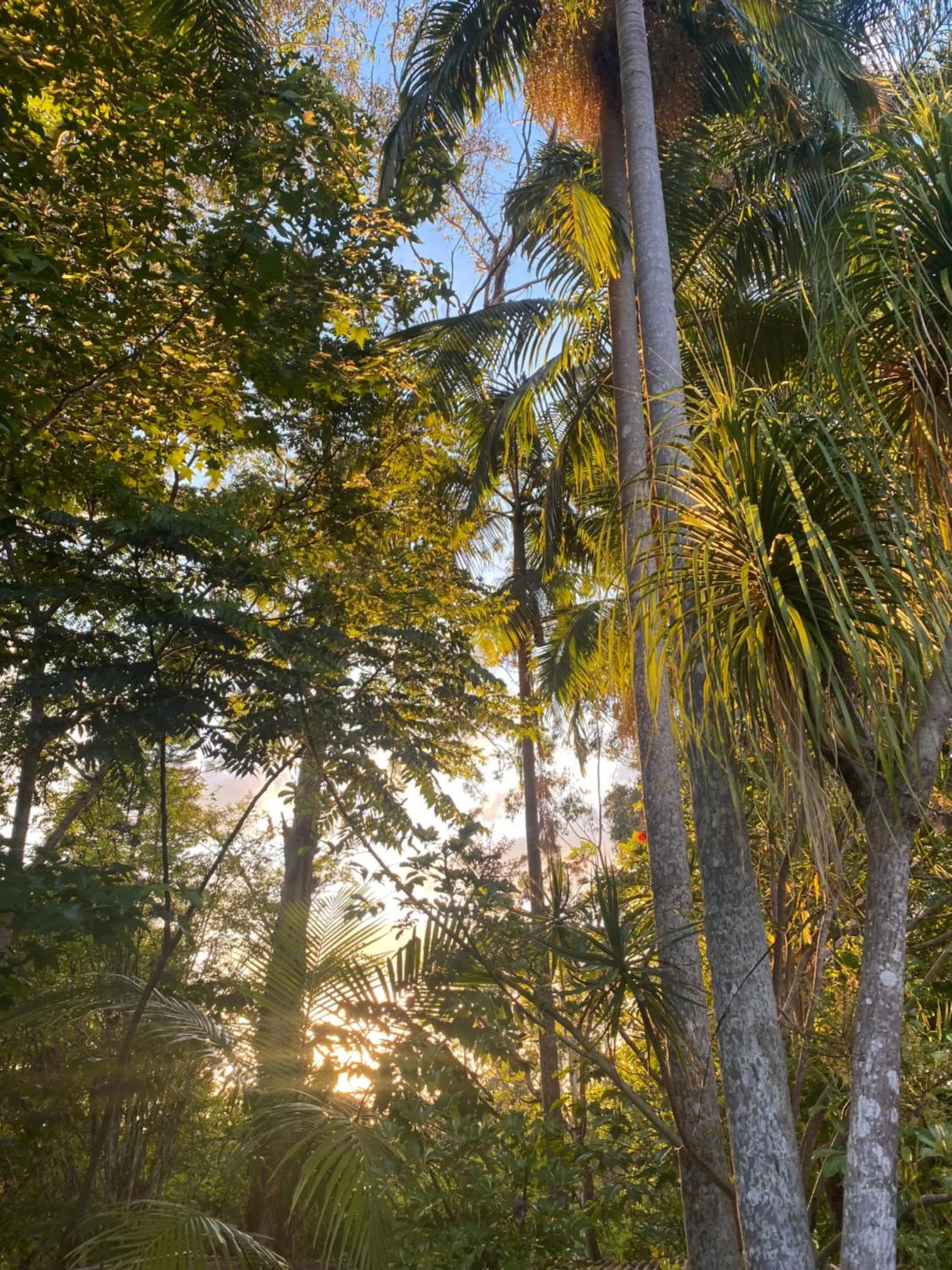 Natural landscape in Nimbin waterfall retreat