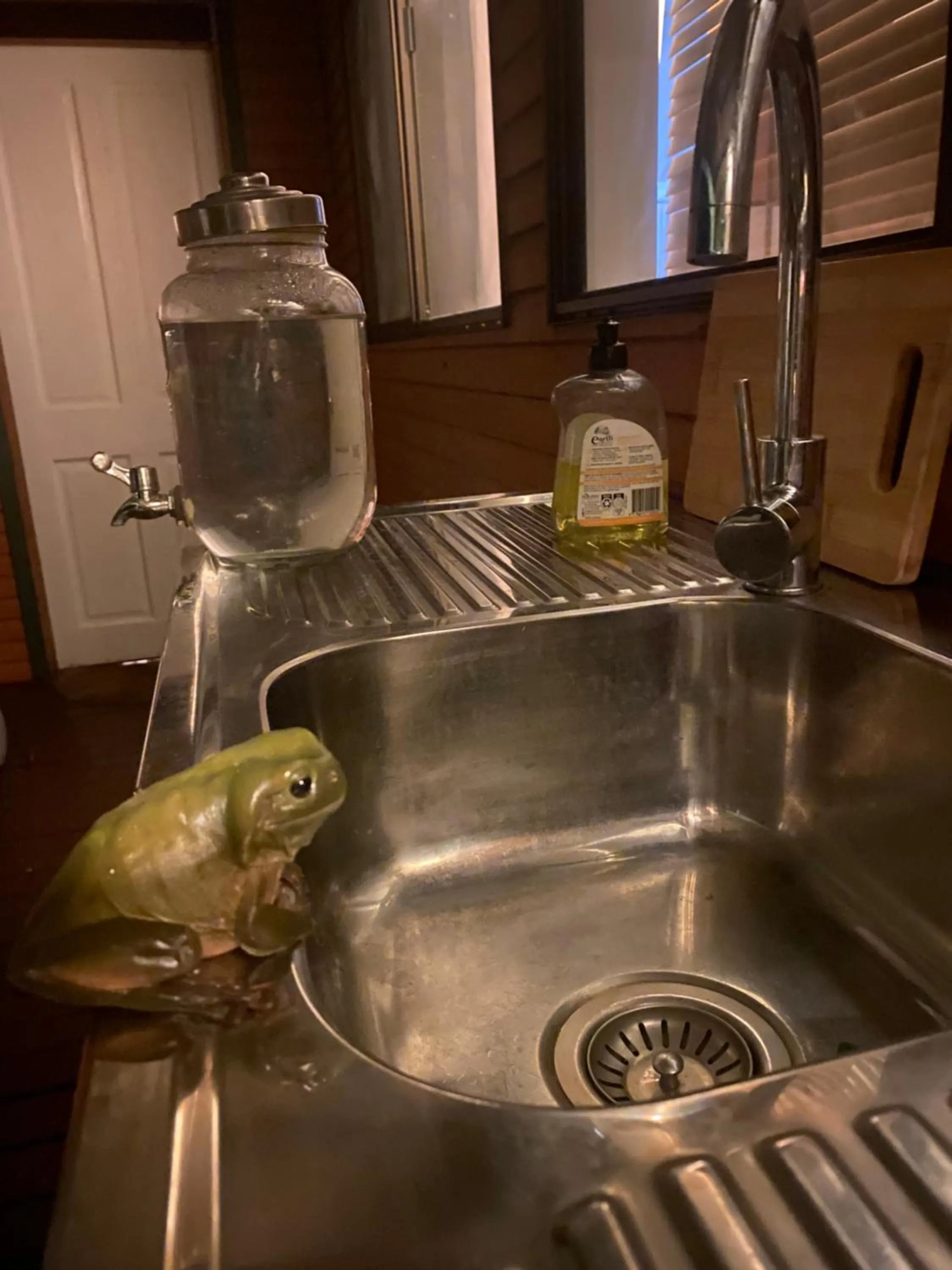 Nimbin waterfall retreat