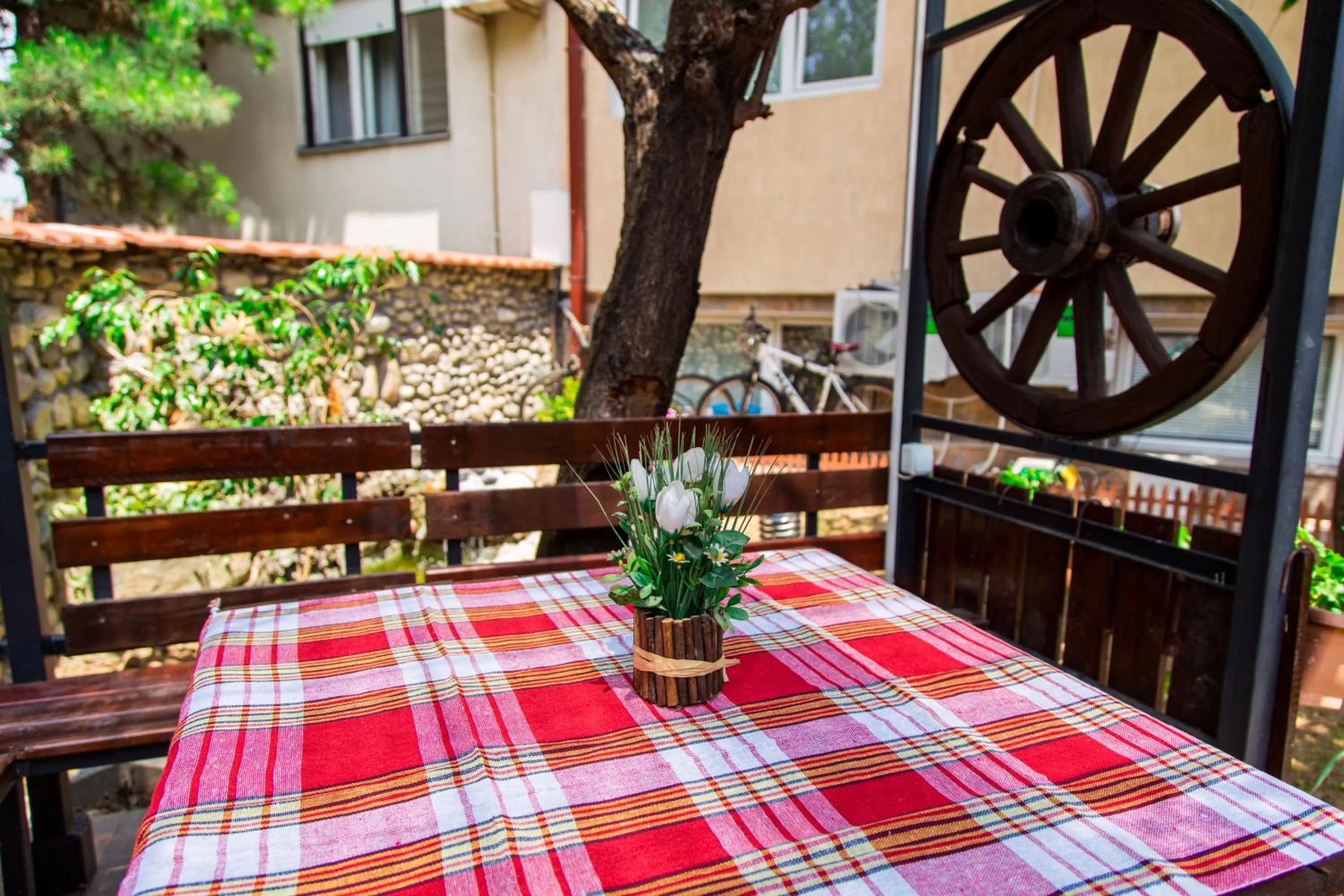 Garden in The Comfy Hostel