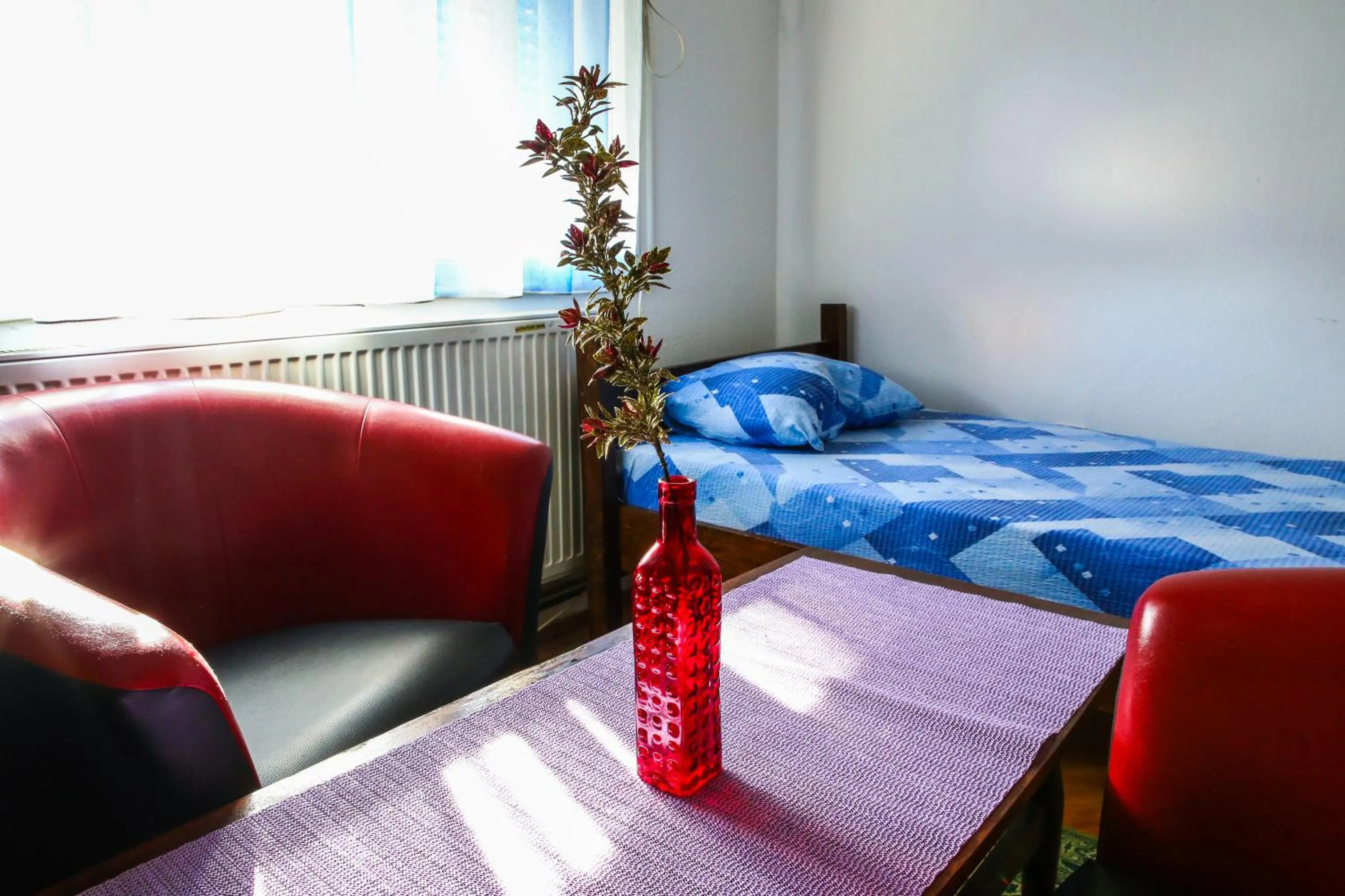 Photo of the whole room in The Comfy Hostel