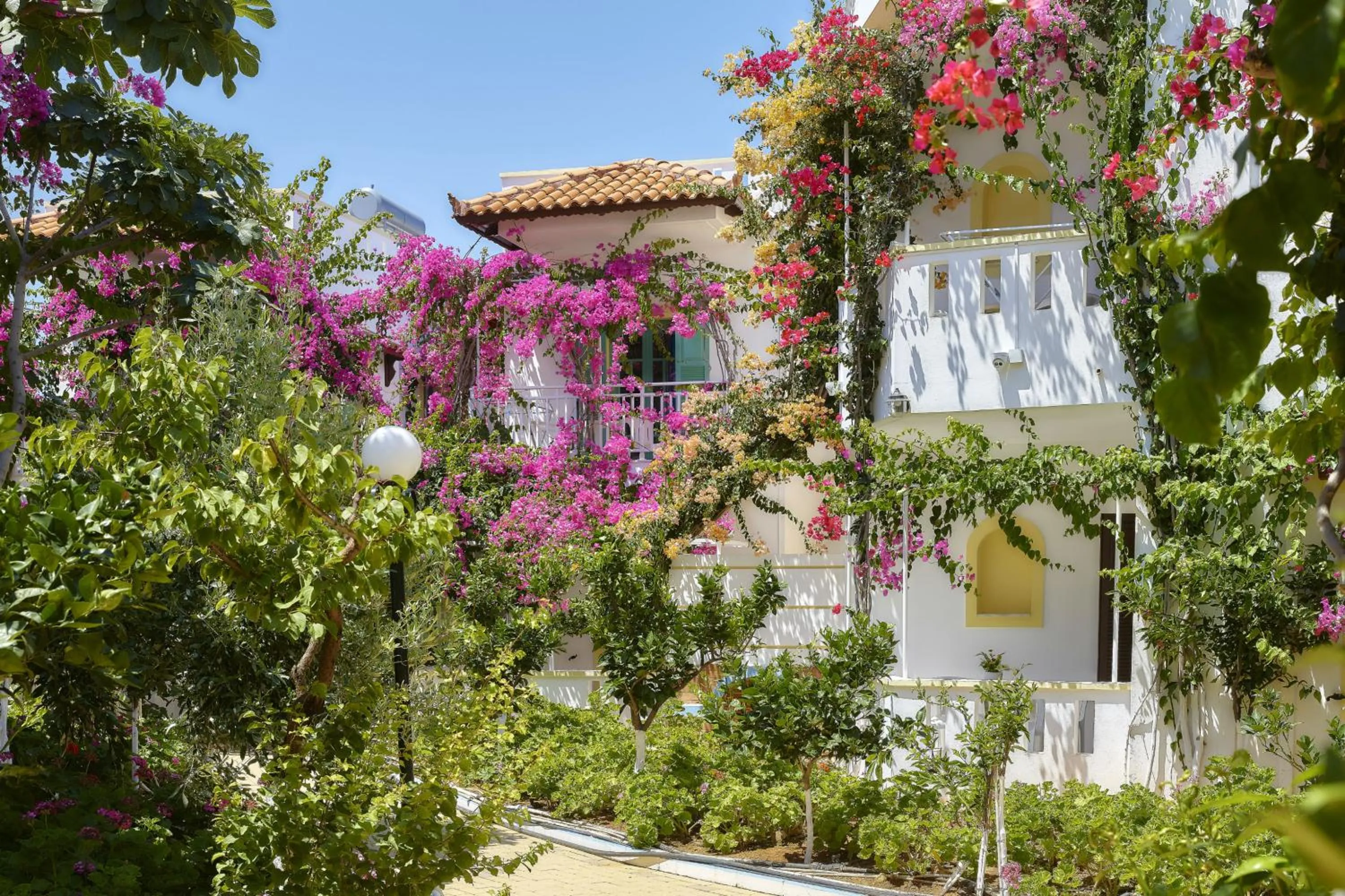 Garden in Paul Marie