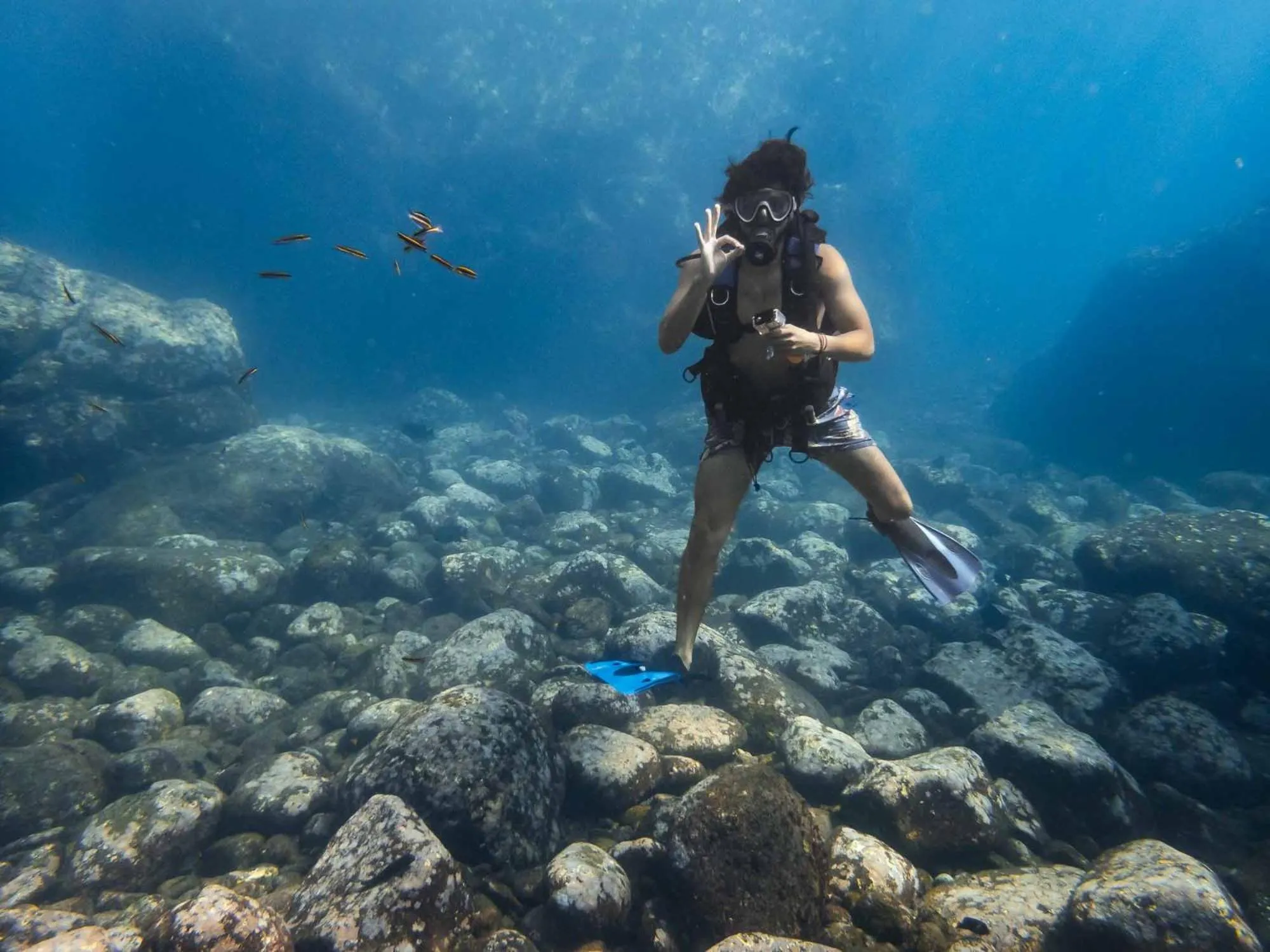 Diving in Sealion Dive Center